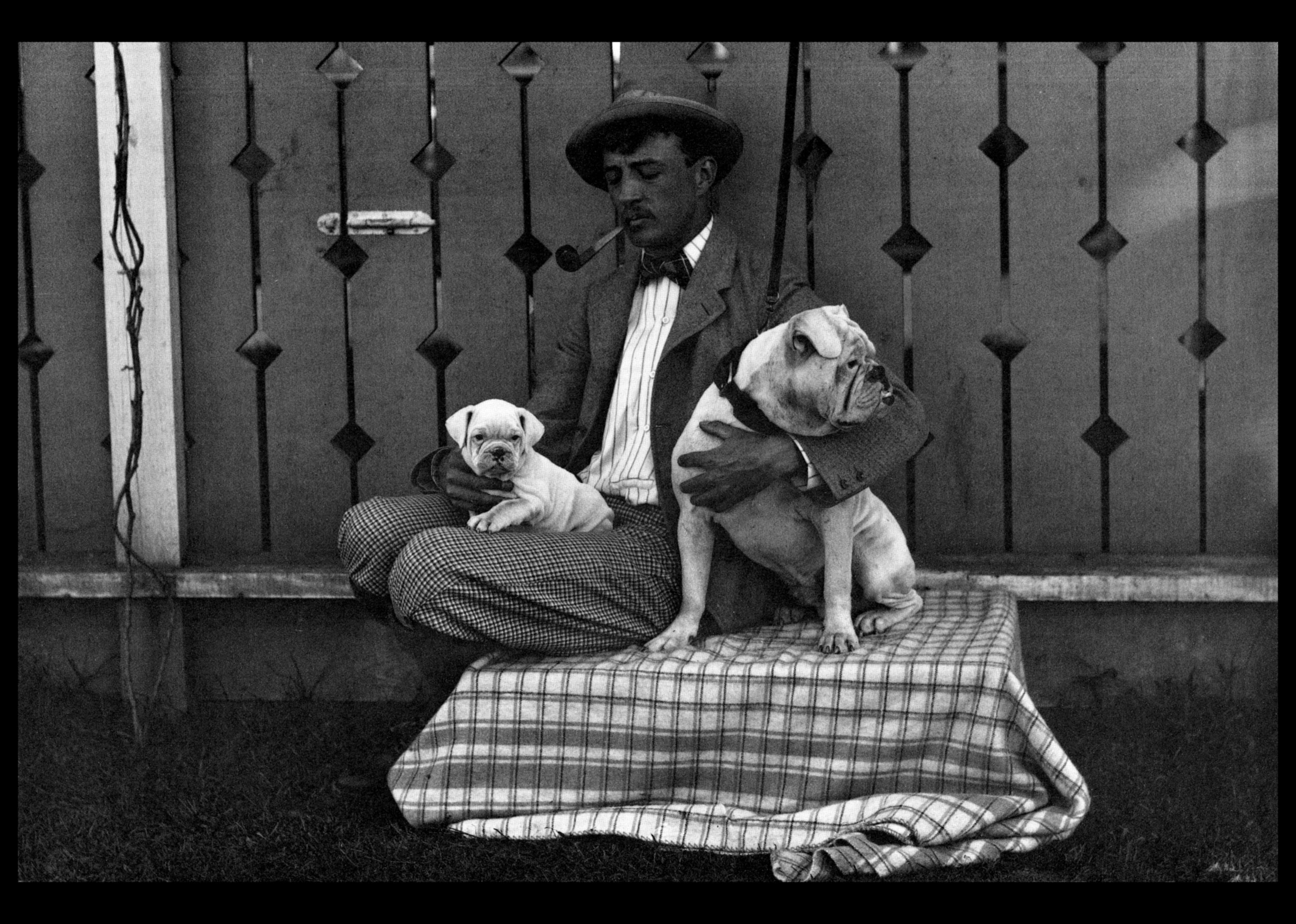 #9. Bulldog