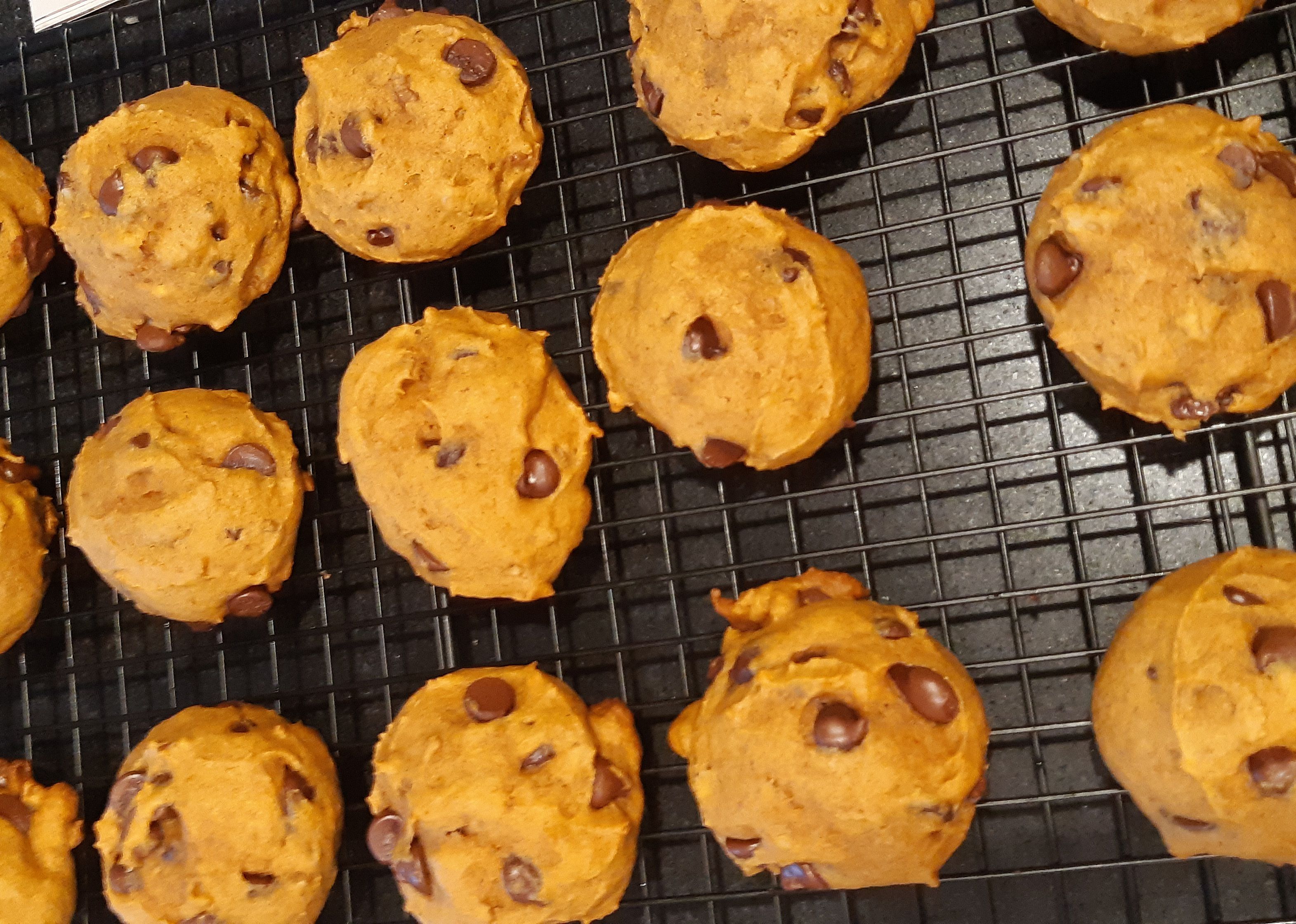 Pumpkin Chocolate Chip Cookies