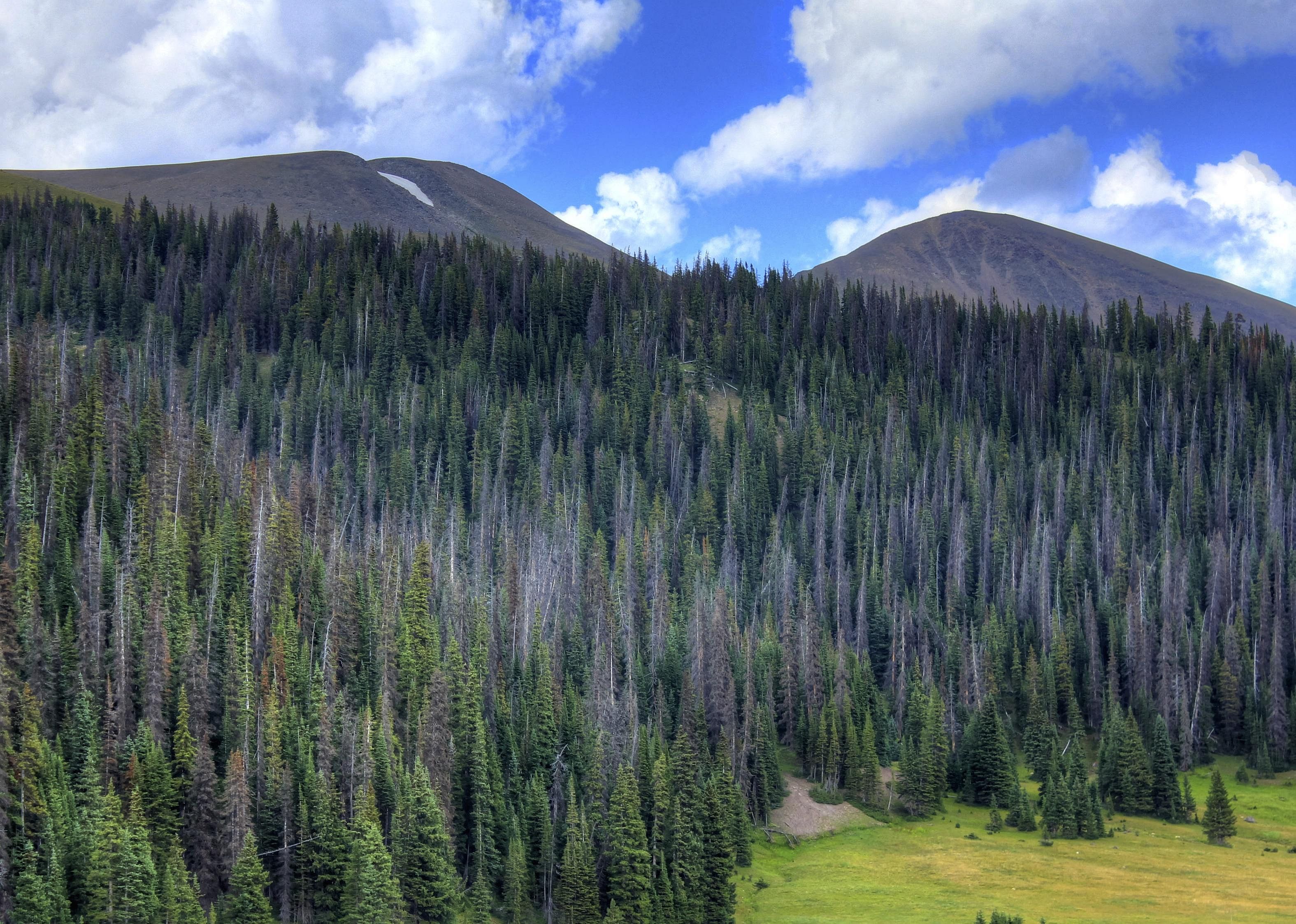 #33. Colorado