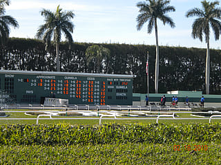 #15. Palm Beach Kennel Club