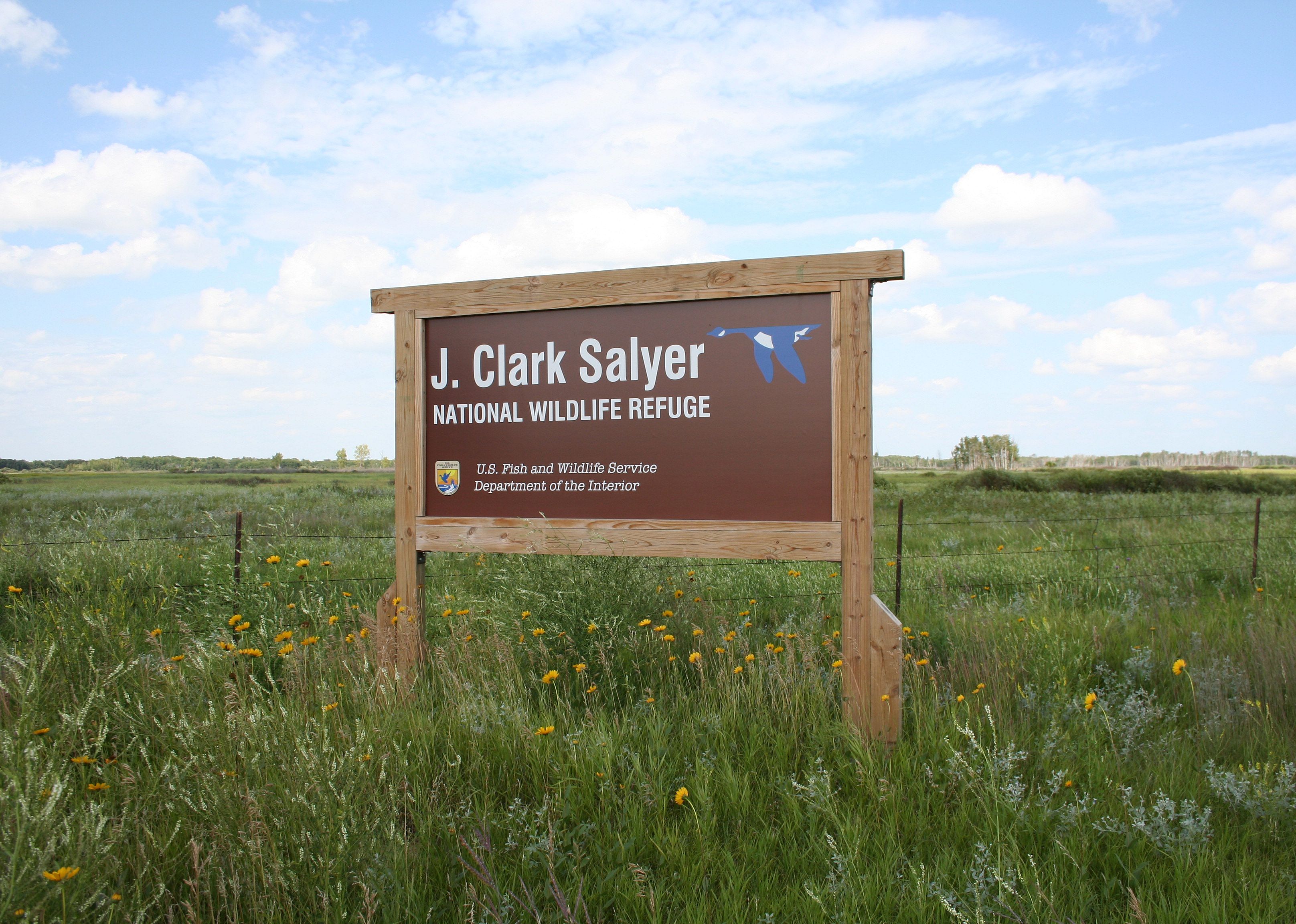 #29. Bottineau County