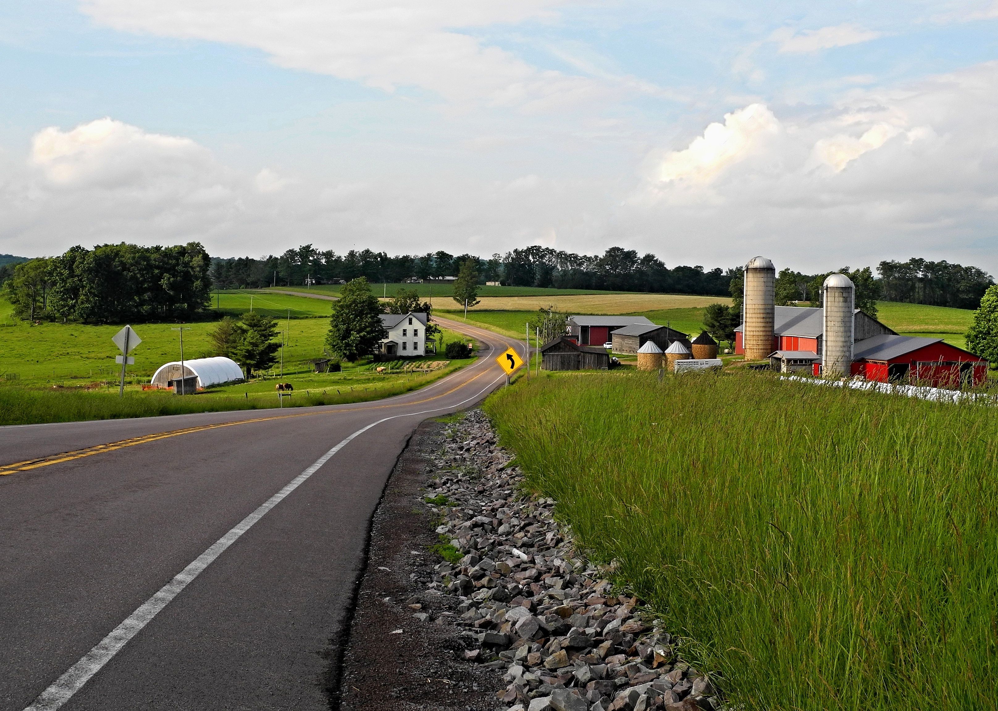 #41. Delaware