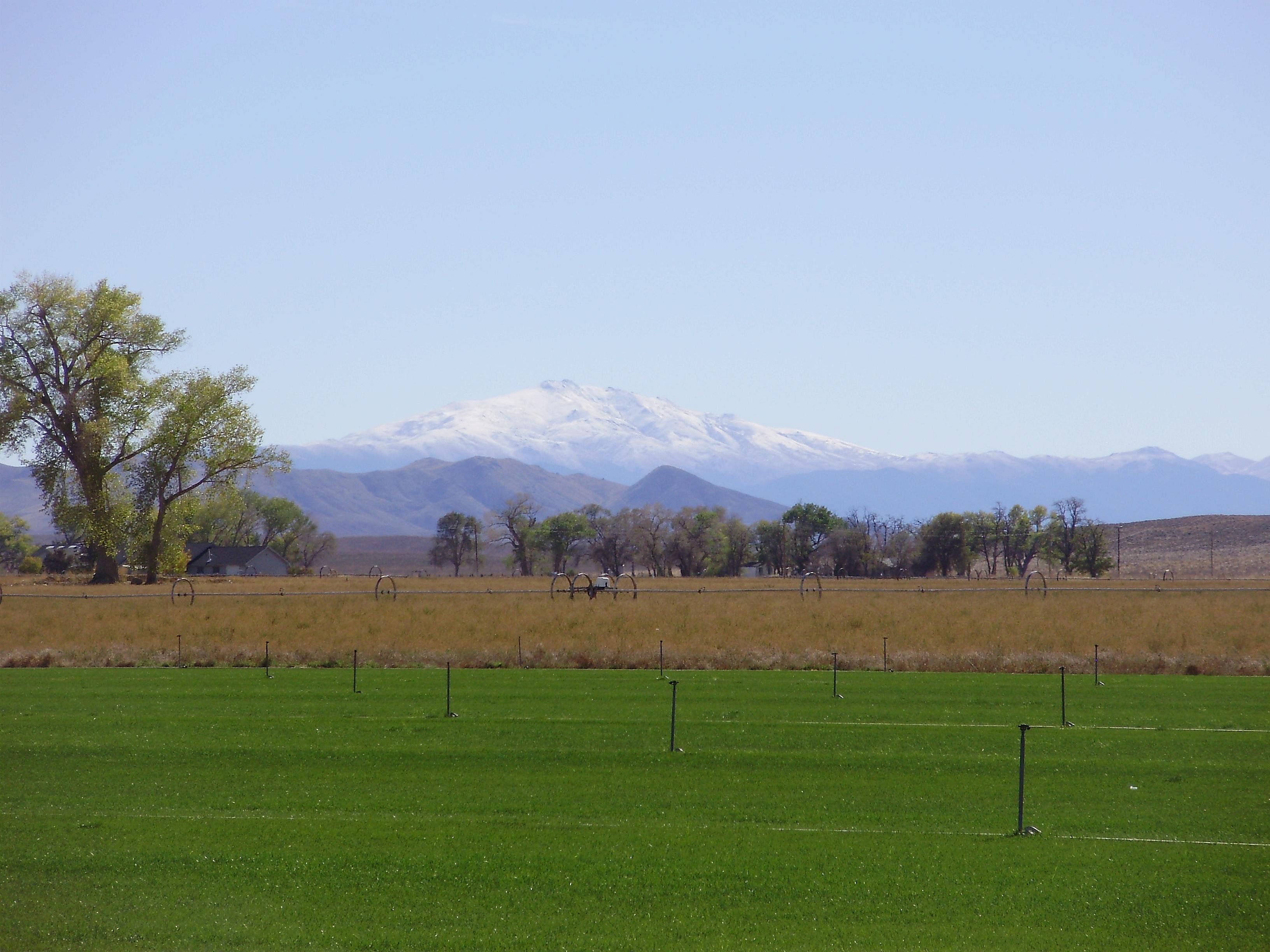 #39. Nevada