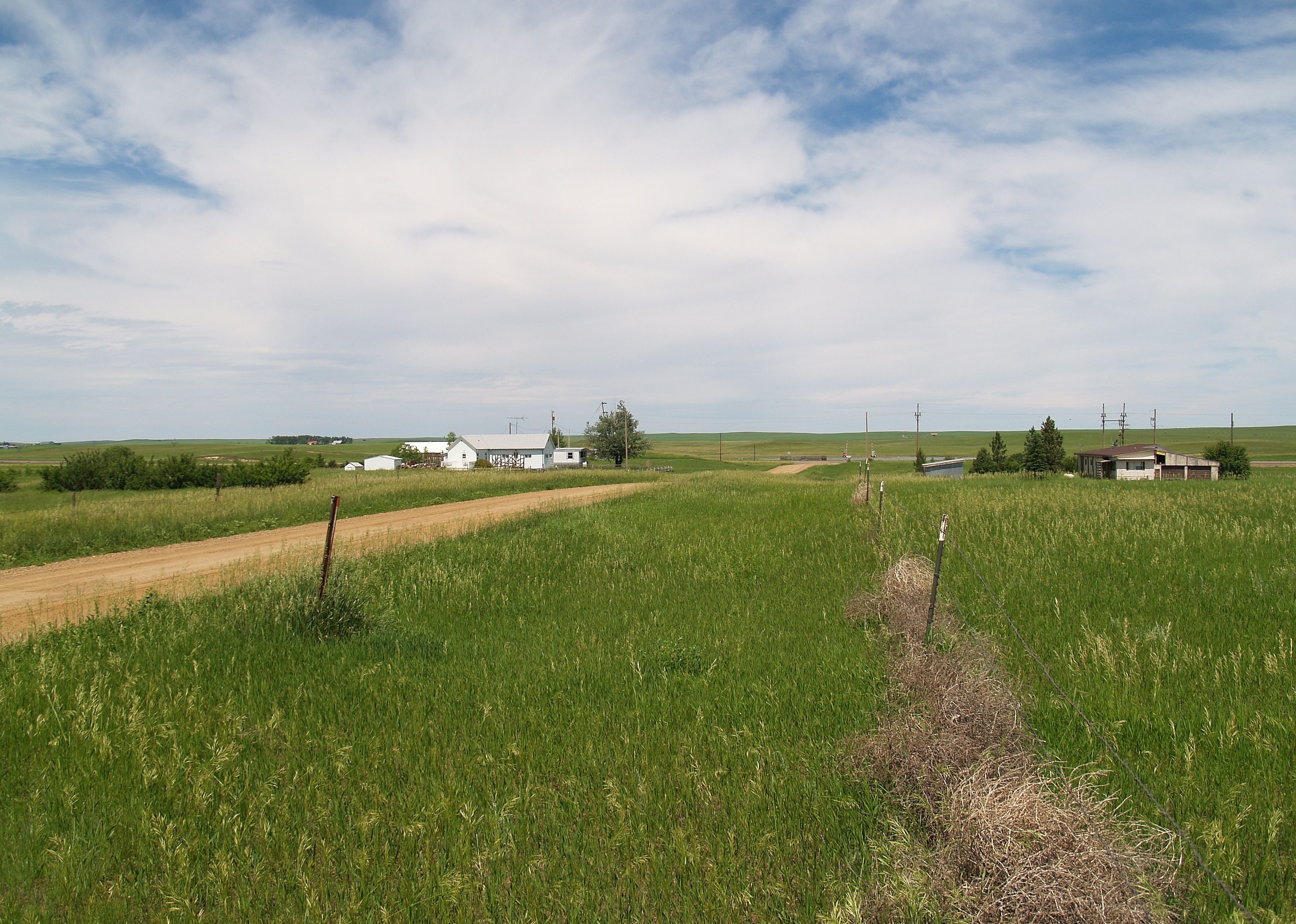 #39. Bowman County