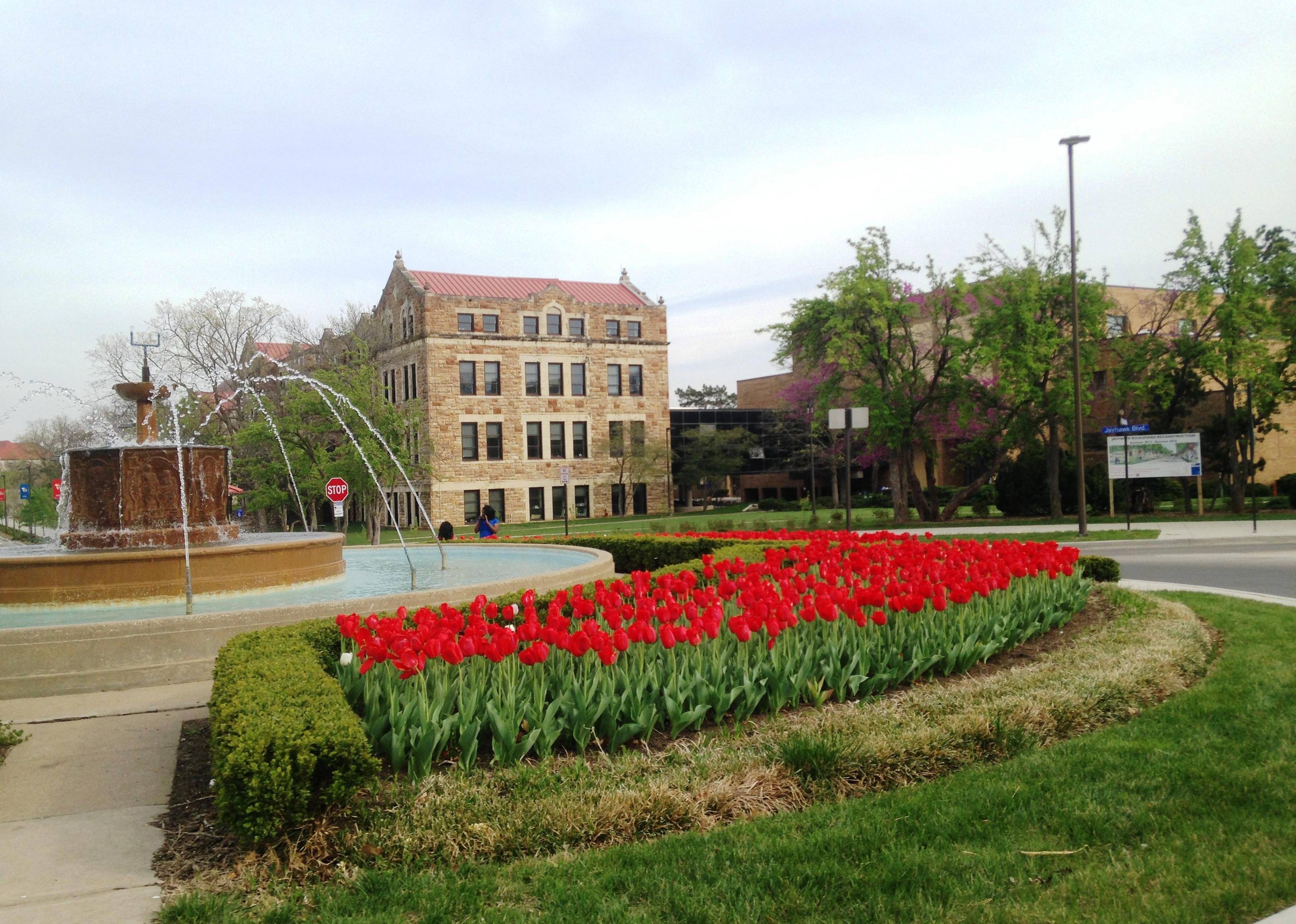 #31. Kansas