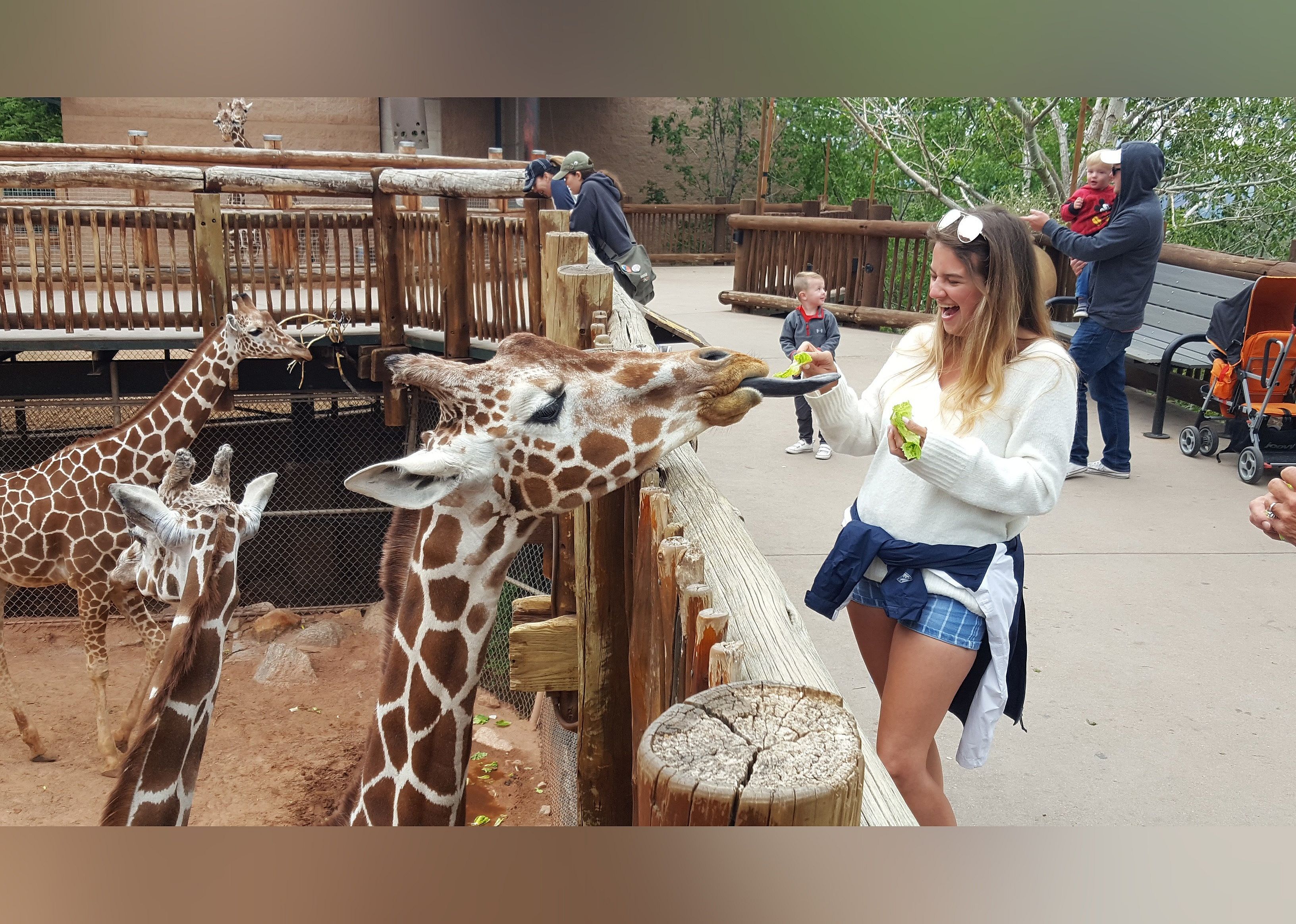 #10. Cheyenne Mountain Zoo