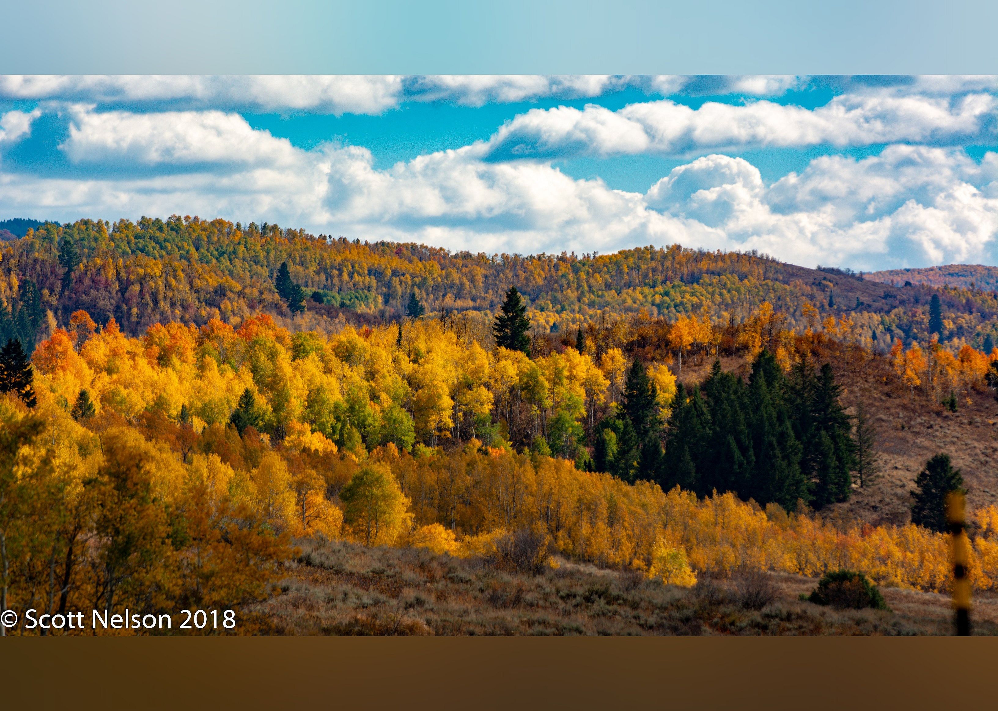 #19. Logan Canyon Scenic Drive