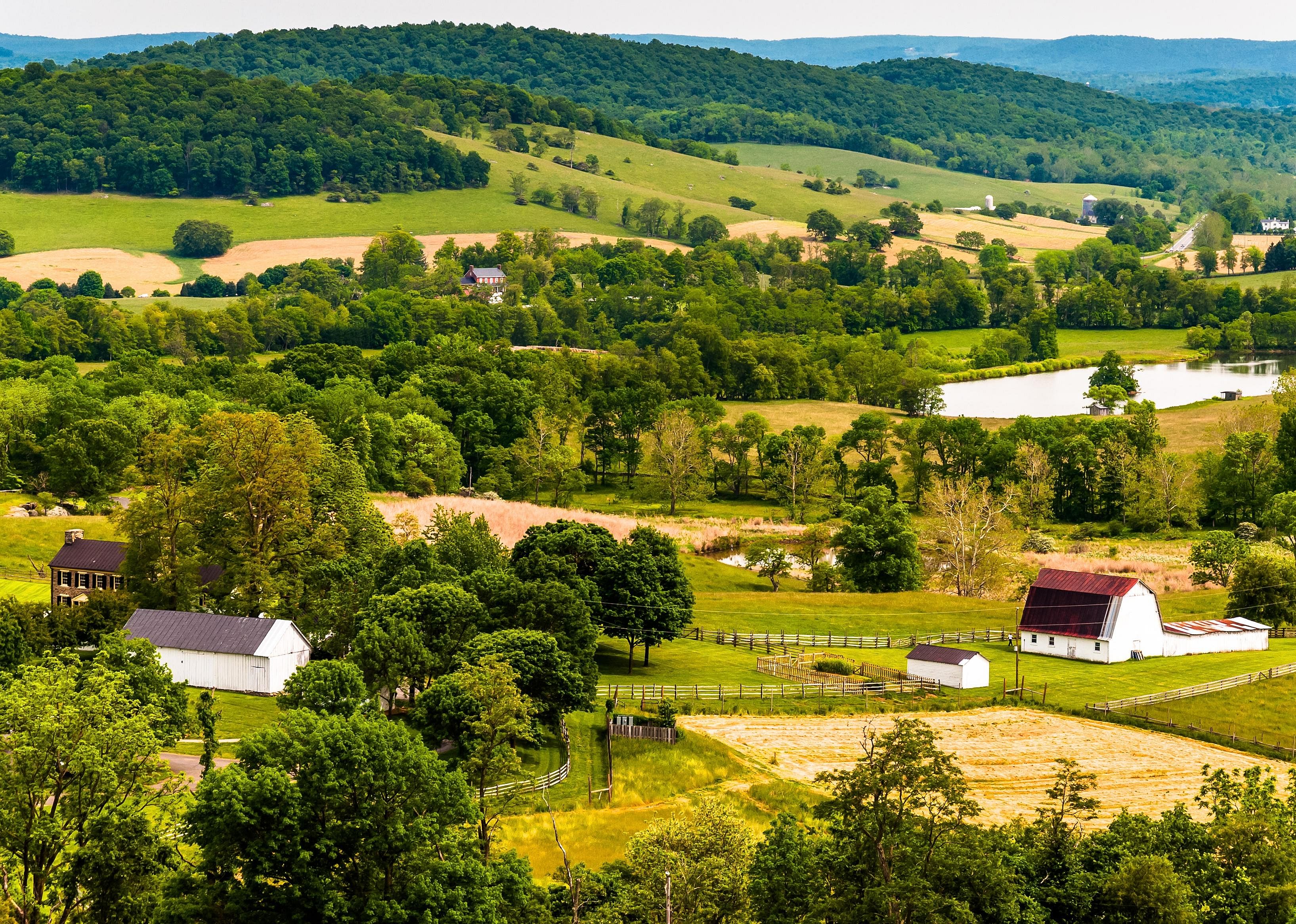 Virginia