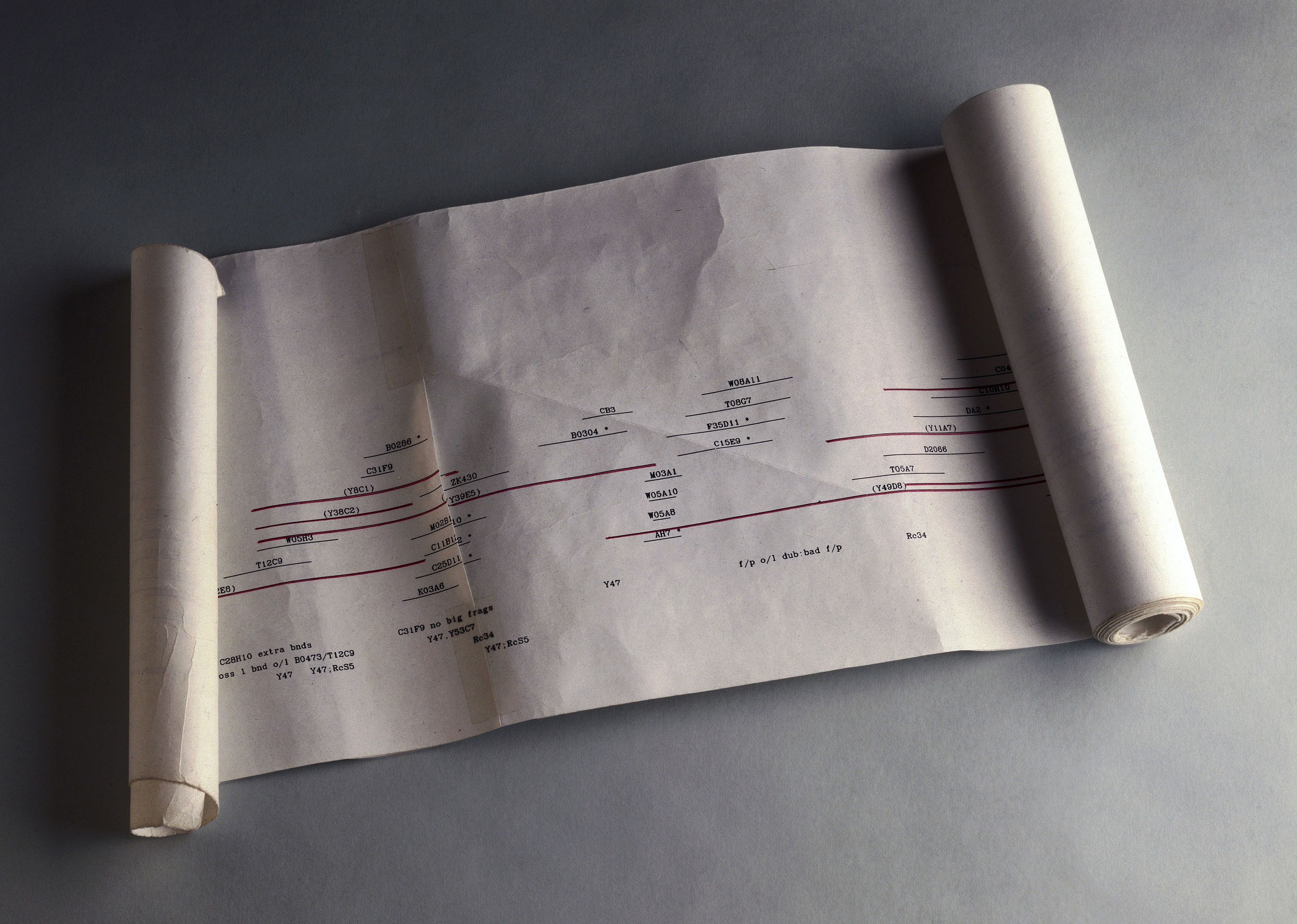 1990: Launch of Human Genome Project