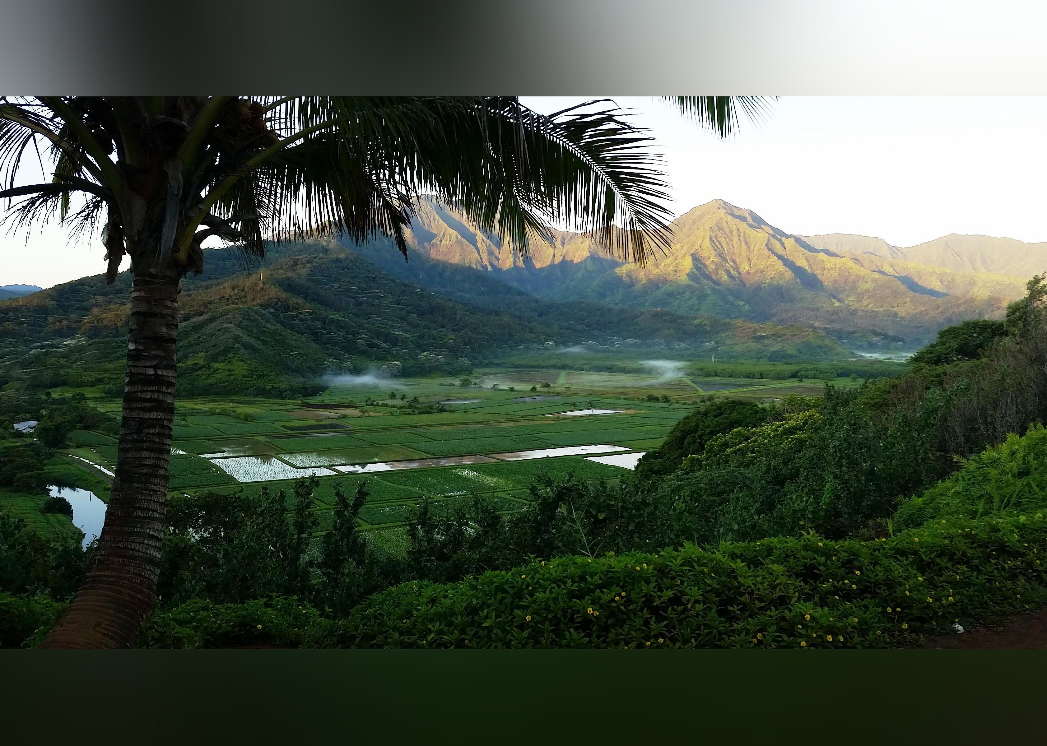 #4. Hanalei Valley Lookout