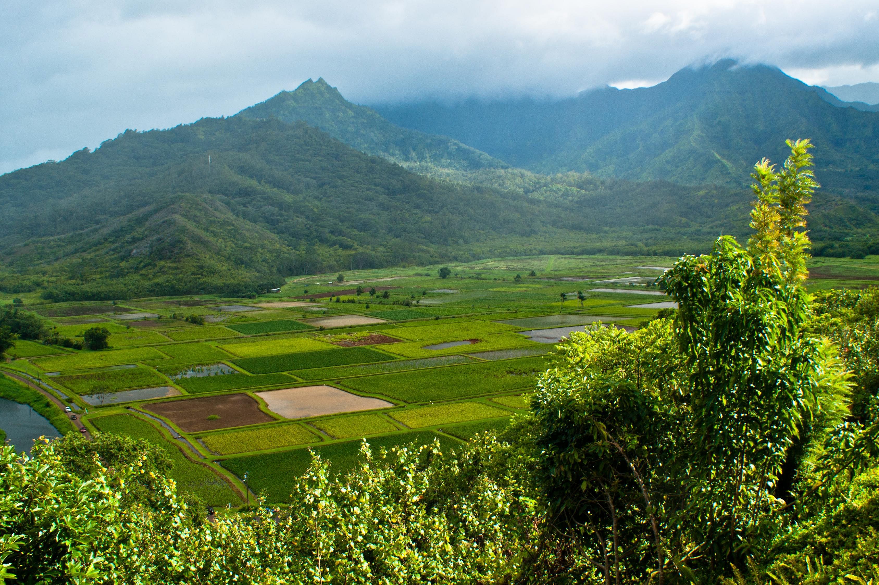 Hawaii