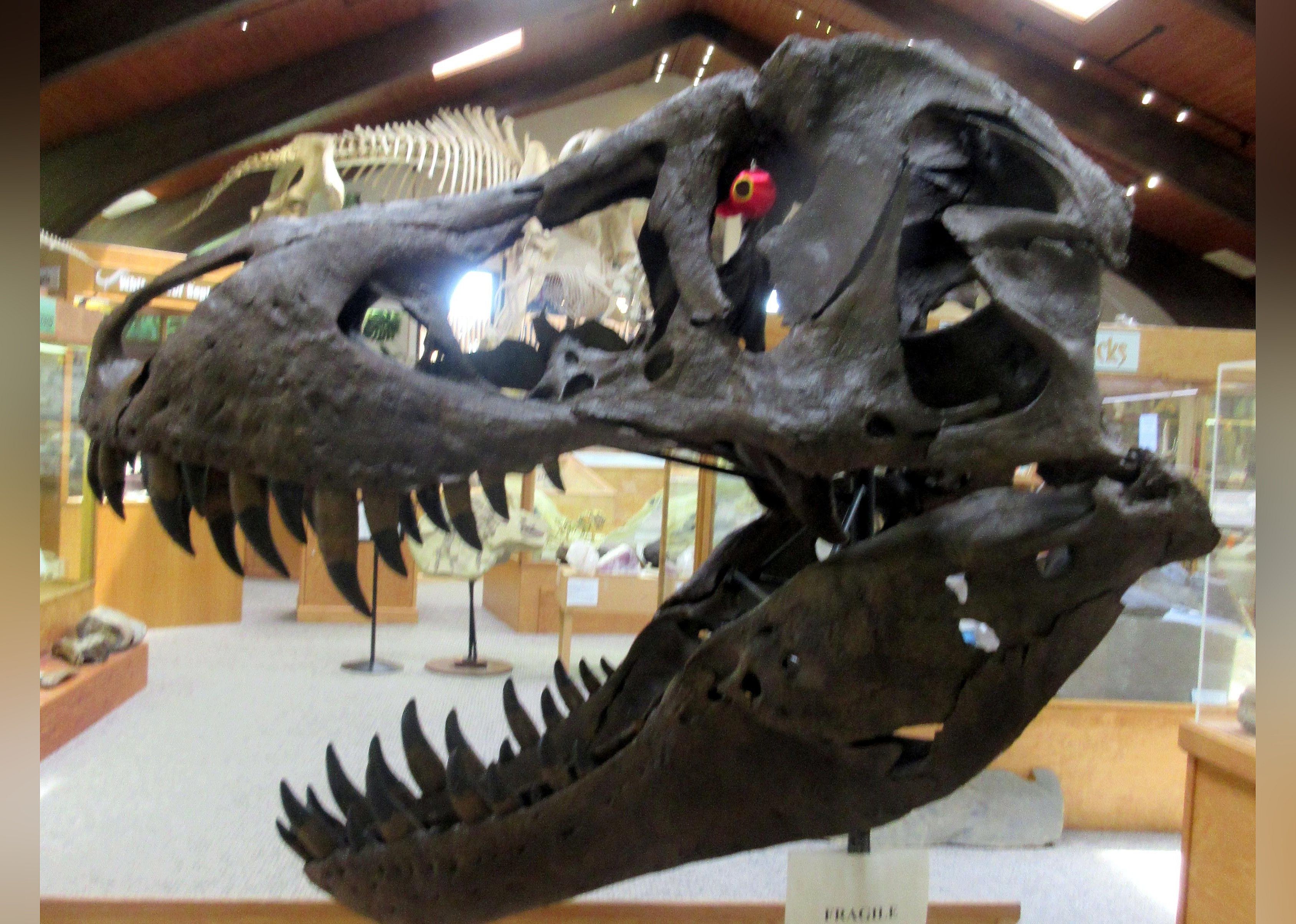 #8. Tate Geological Museum