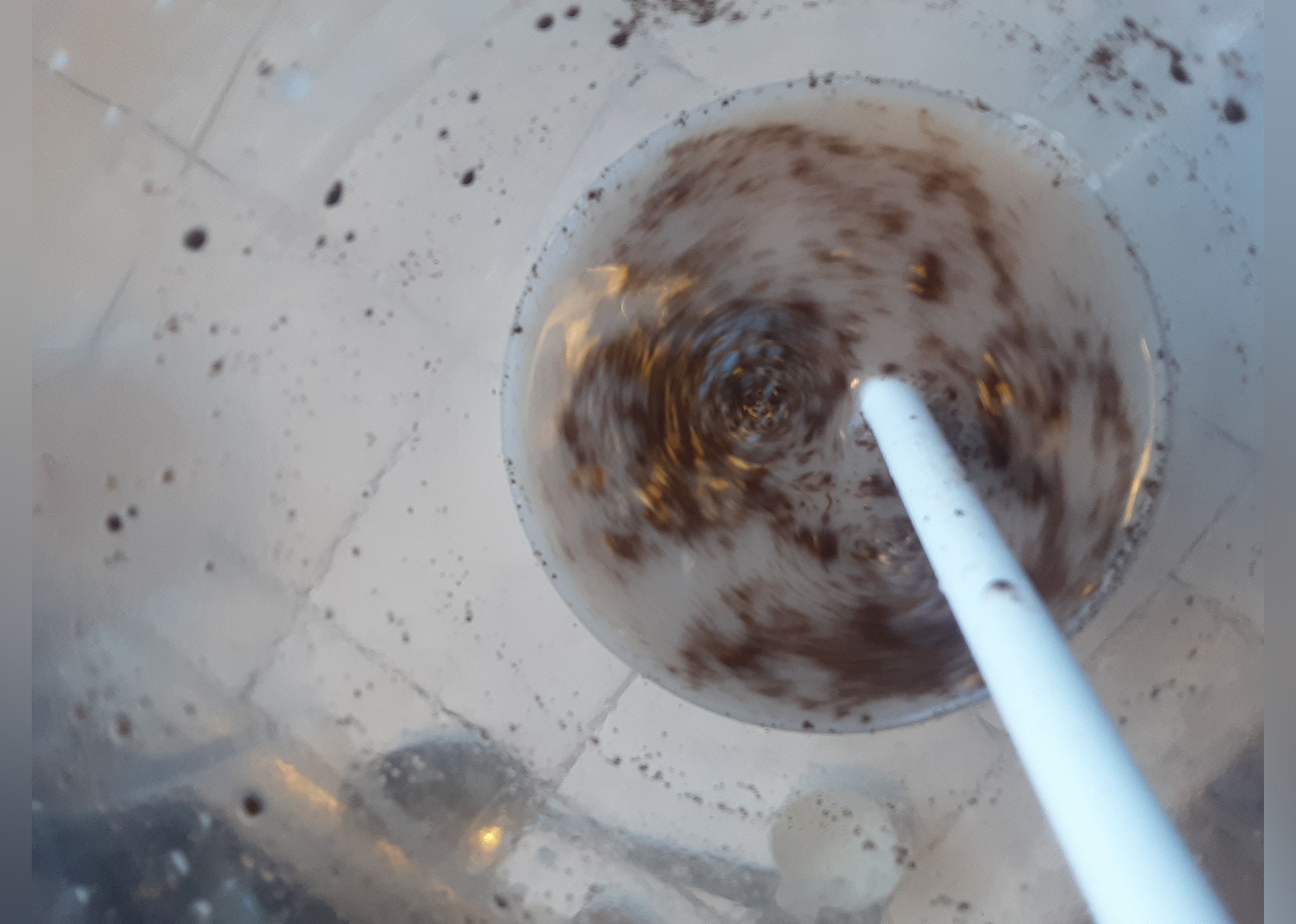 Lola's Horchata