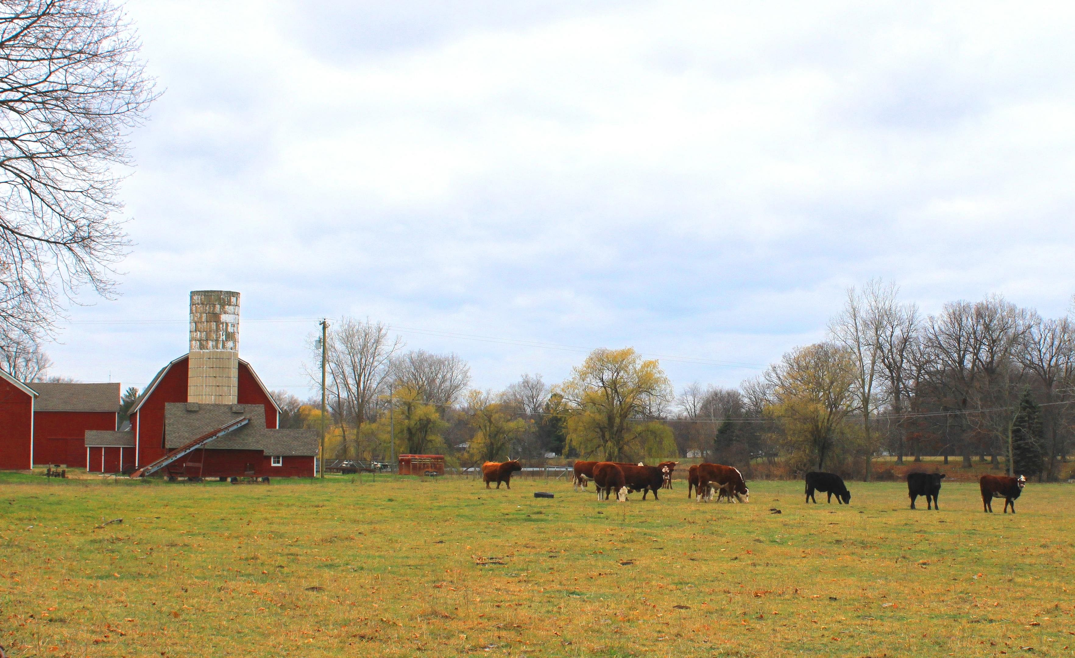 #26. Michigan