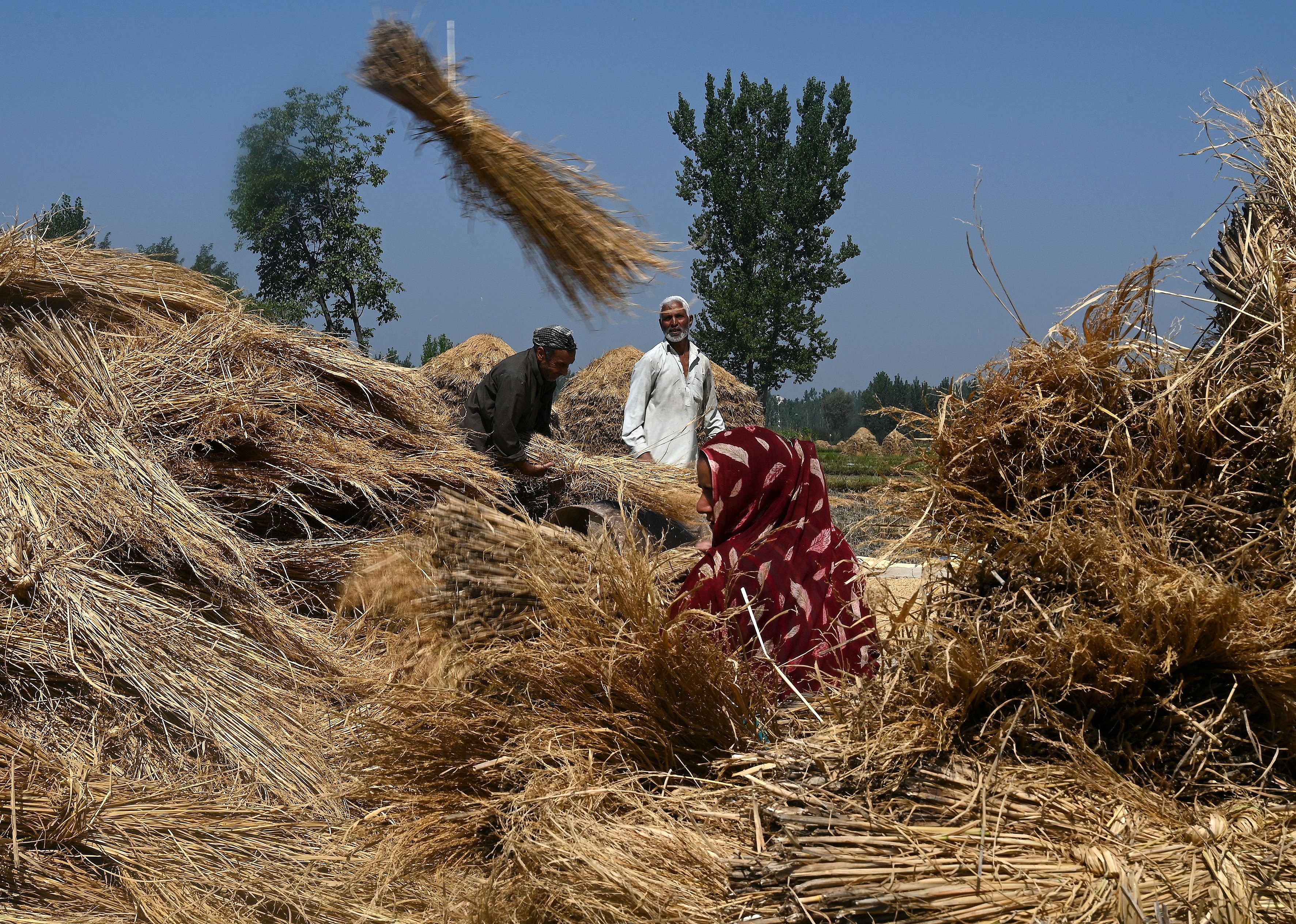 September 2020: The Farmers' Produce Trade and Commission Act passes