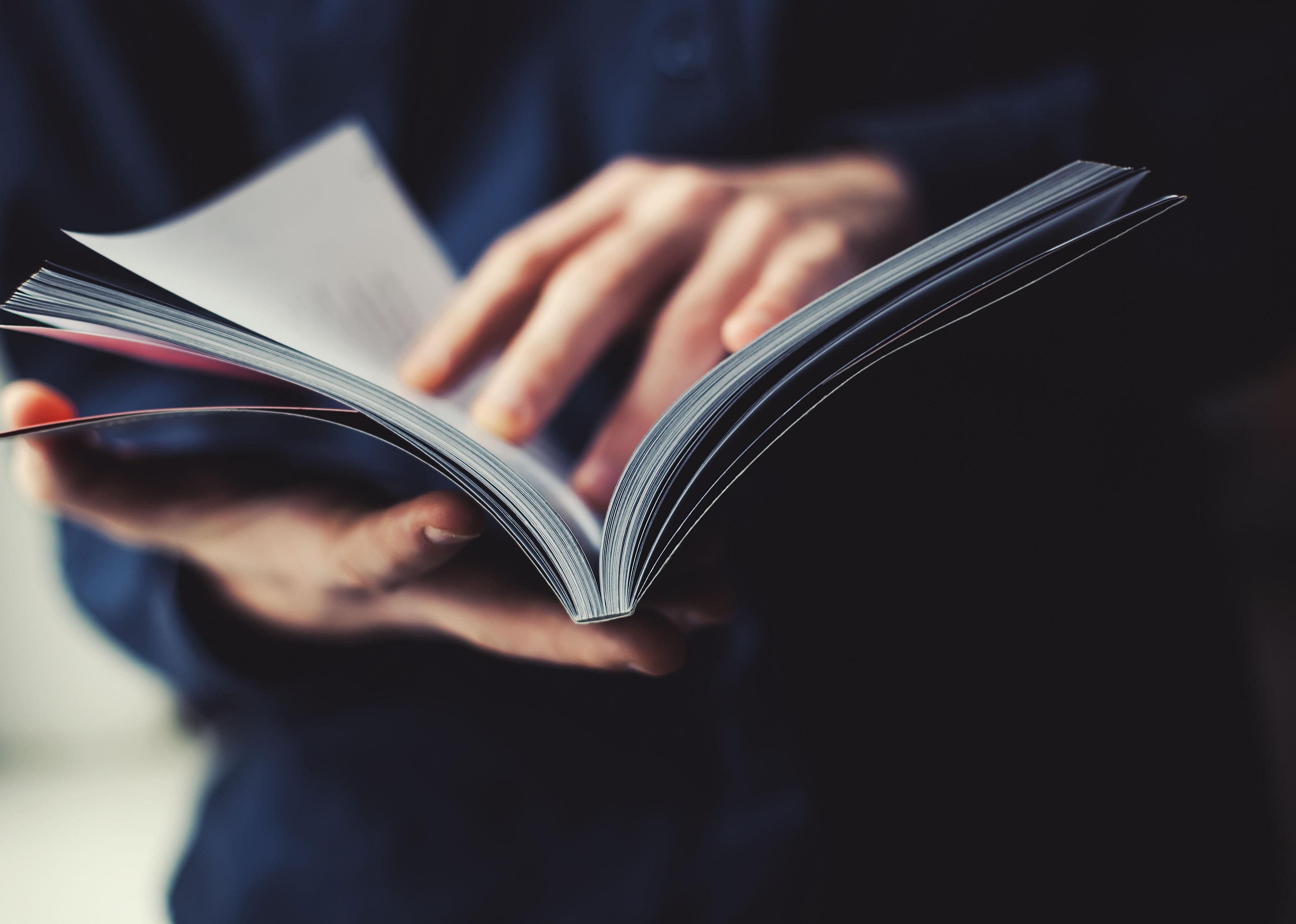 Essay: 'The Idea of America' by Nikole Hannah-Jones