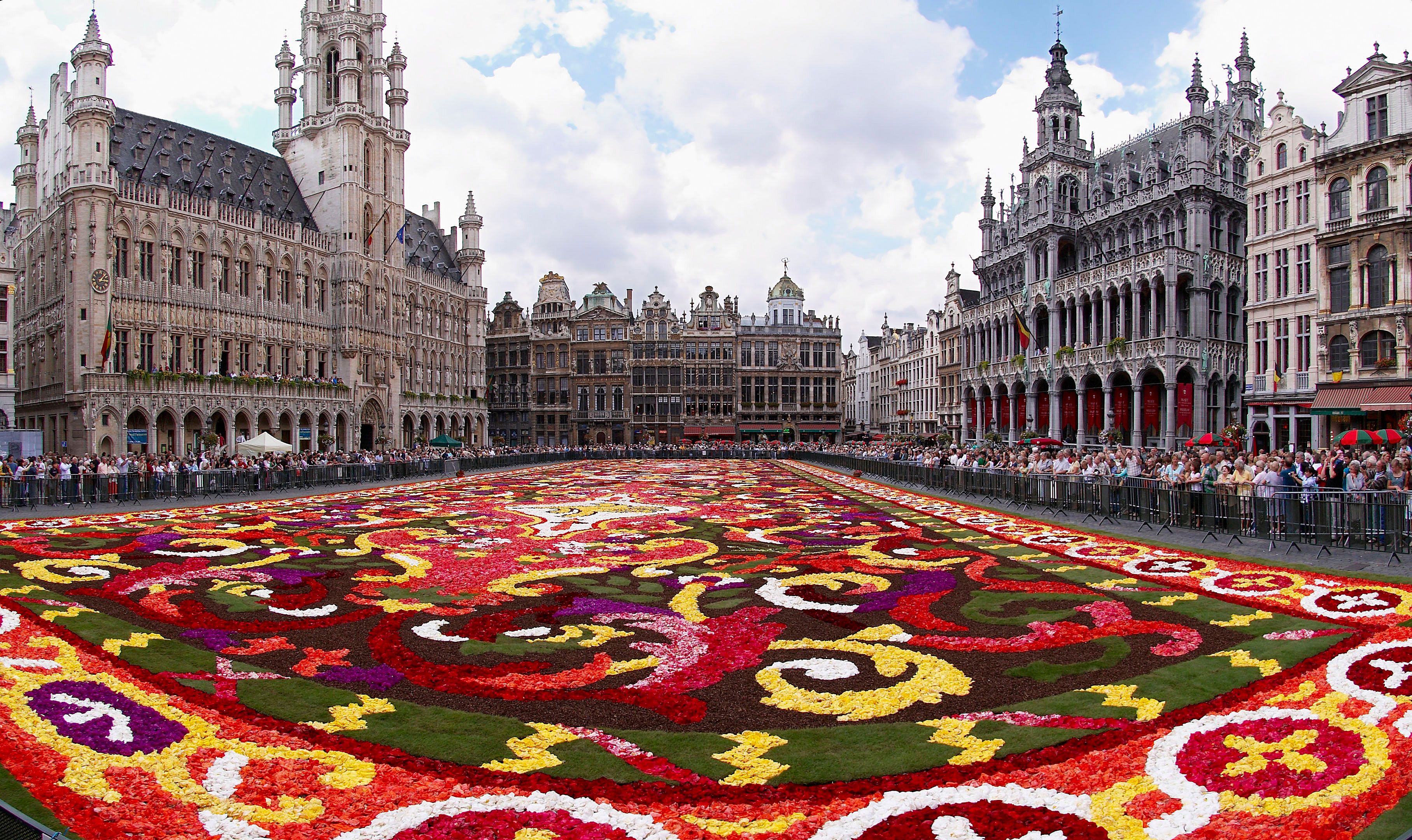 Carpet of Flowers (Belgium)