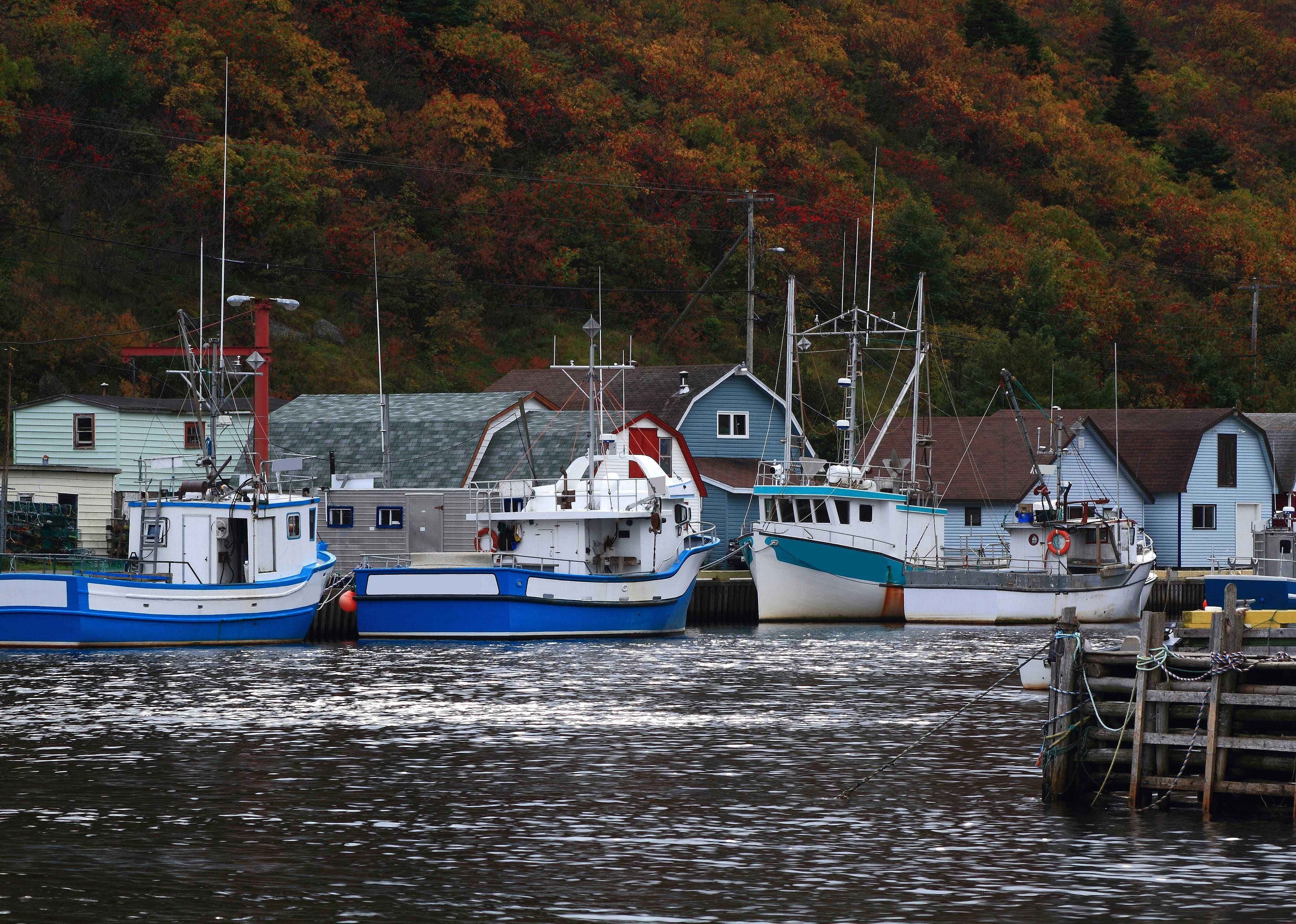#32. Avalon Peninsula, Newfoundland and Labrador