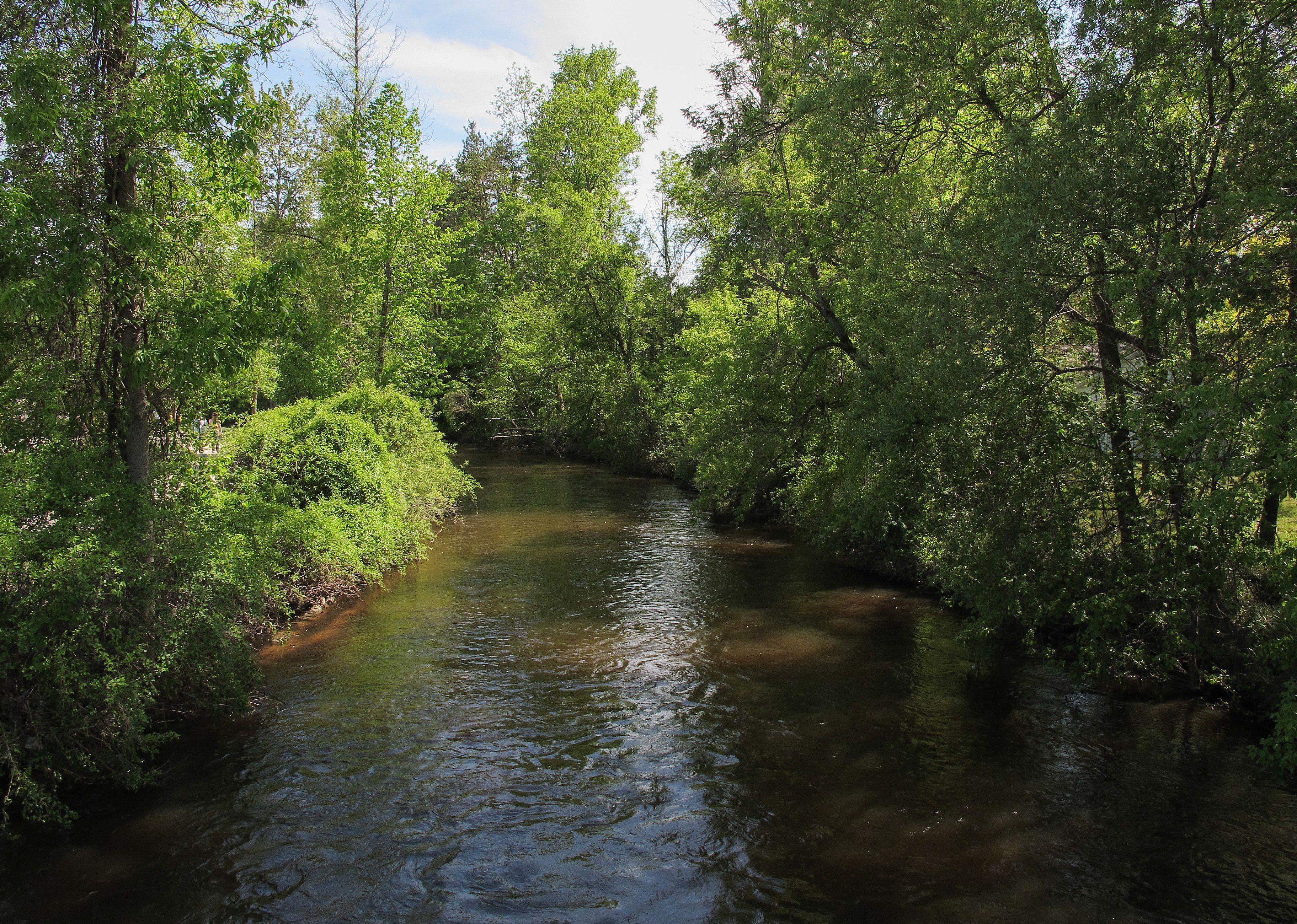 #38. Gladwin County