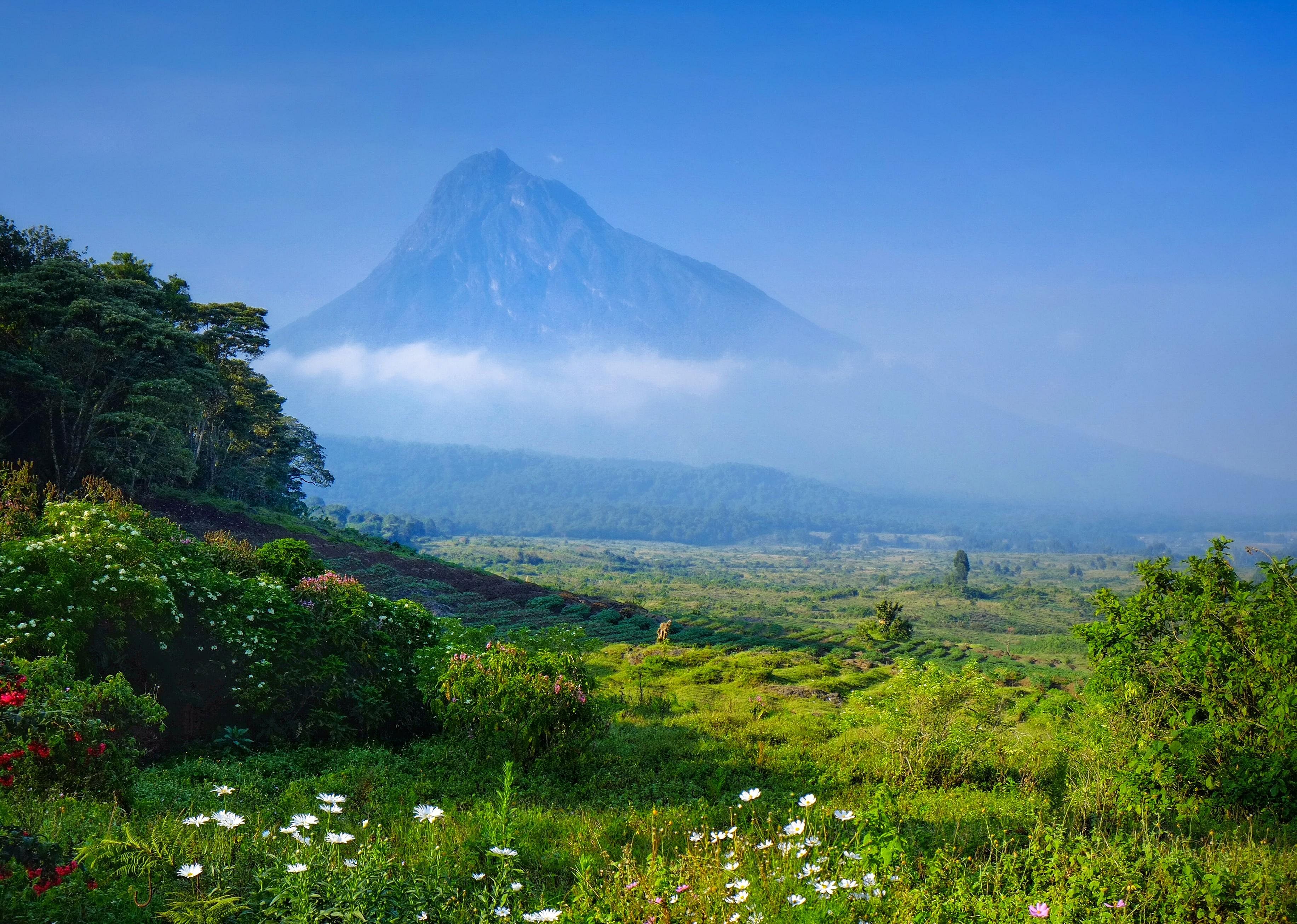 #15. Democratic Republic of the Congo