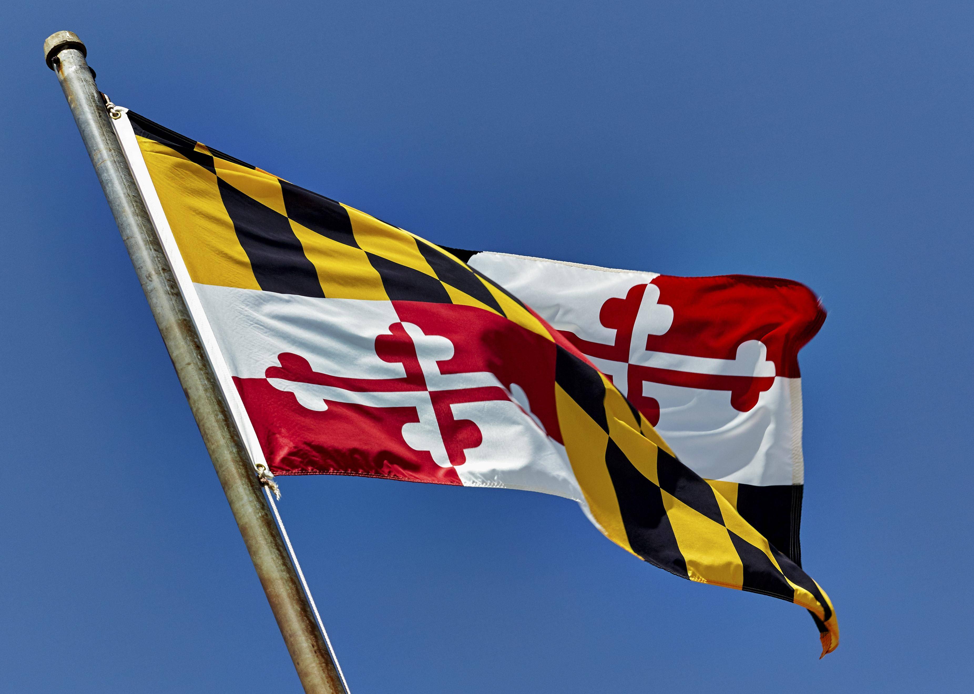 Flag #20