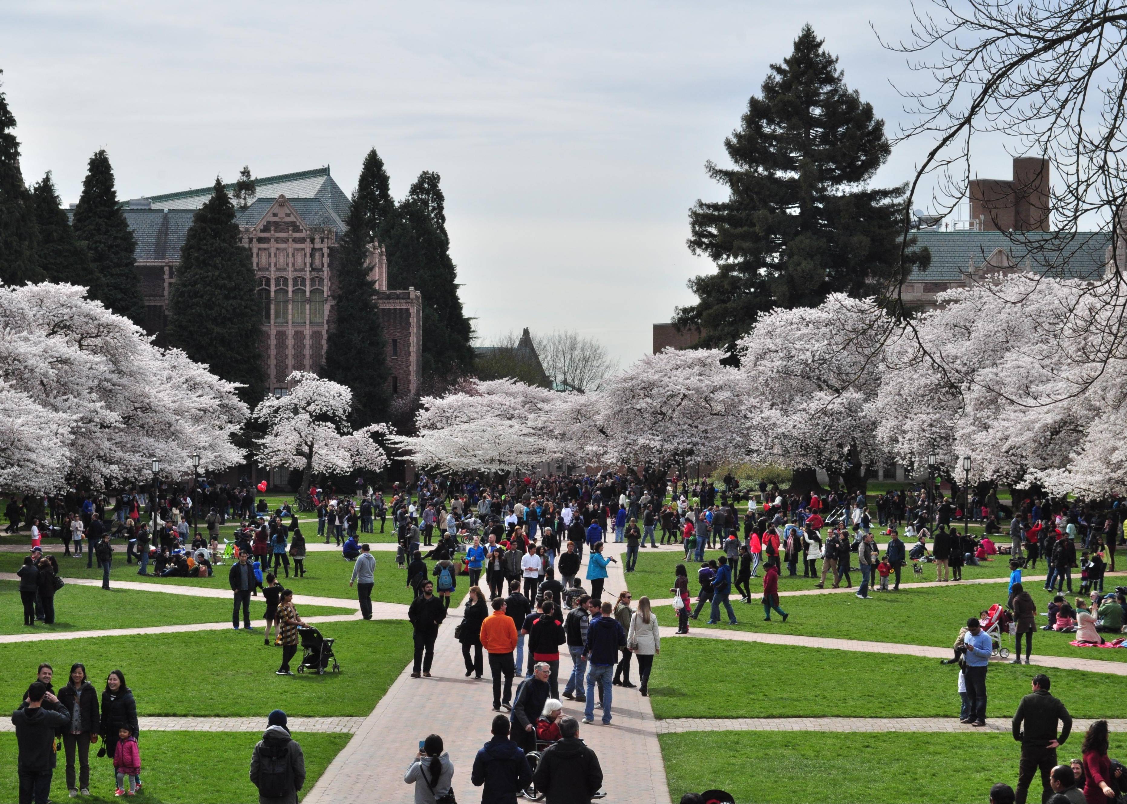 #26. Washington