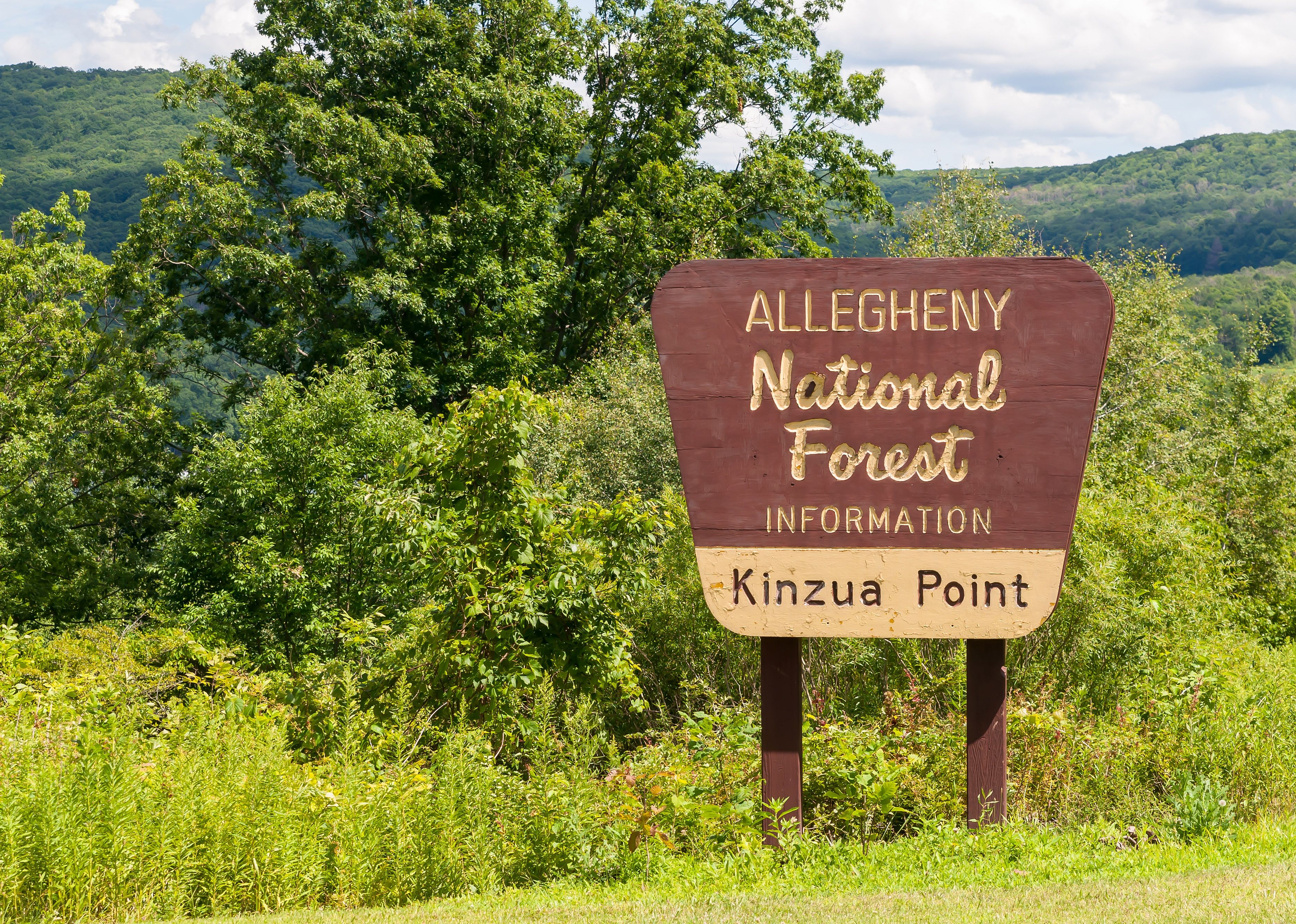 Allegheny National Forest