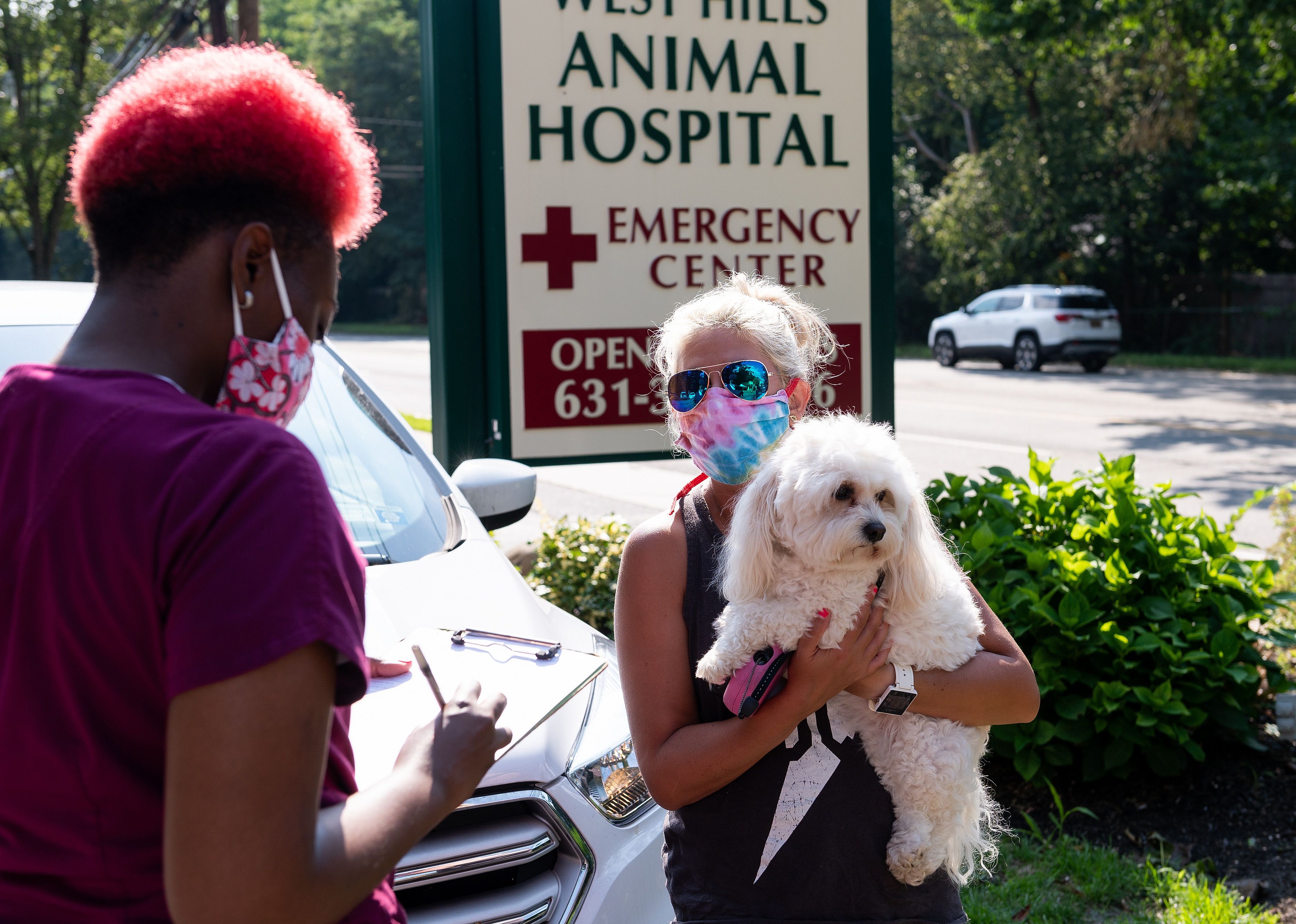 The North American pet insurance market is made up of around 20 companies