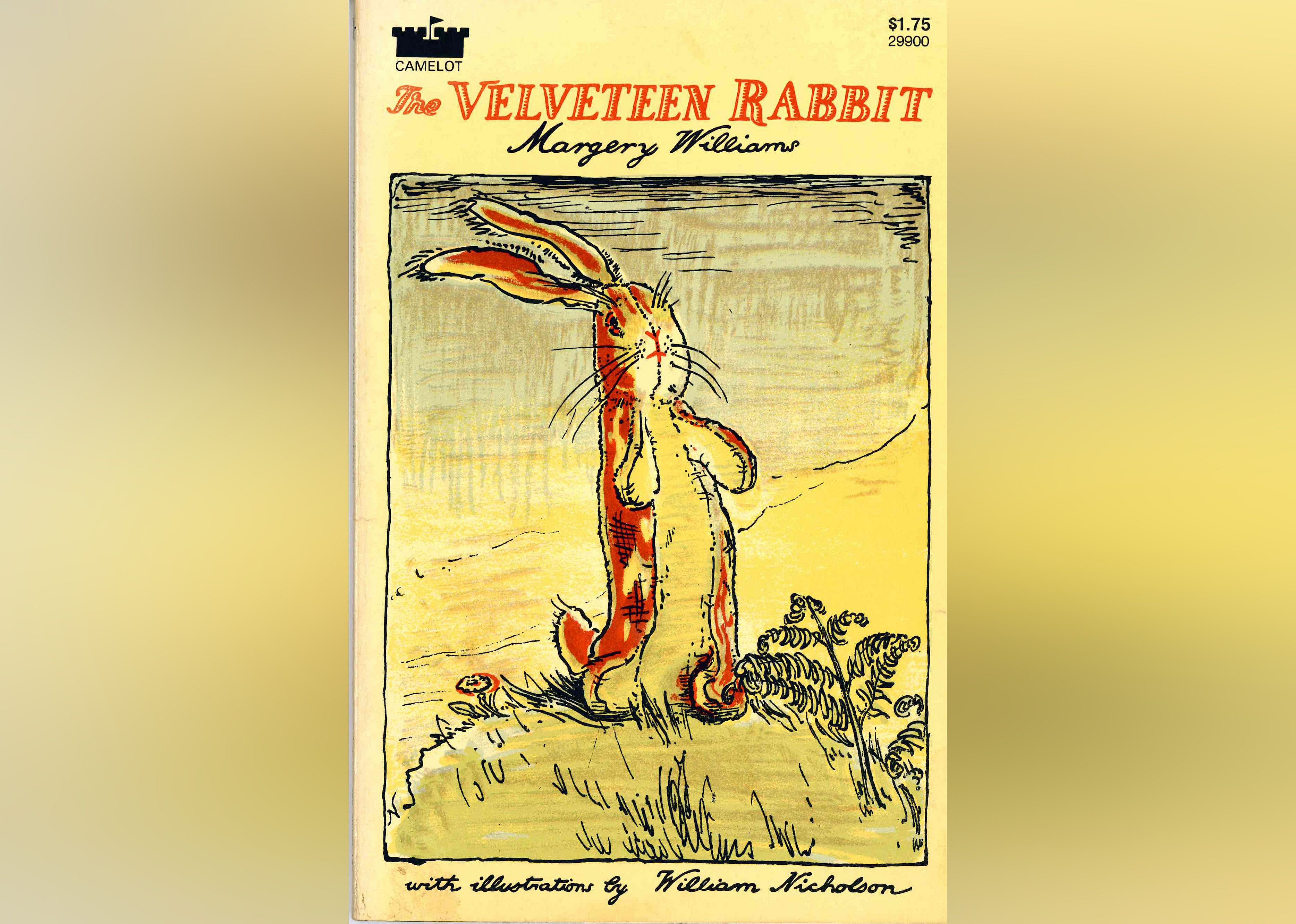 1922: 'The Velveteen Rabbit' by Margery Williams