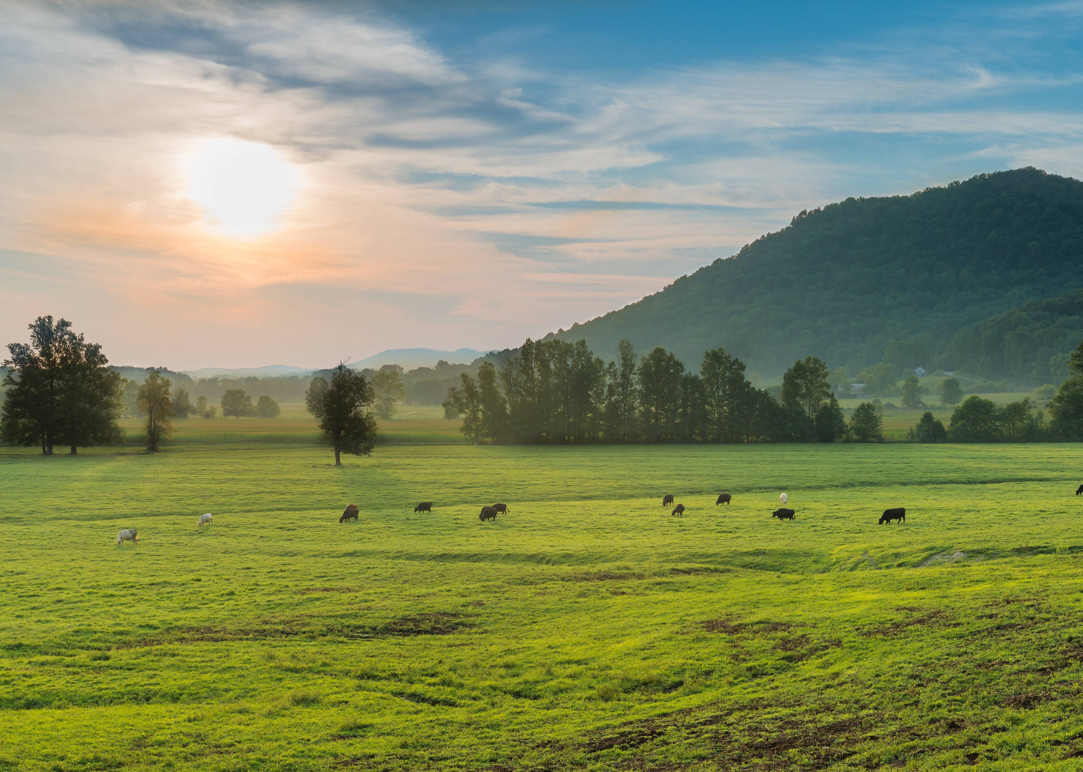 Kentucky