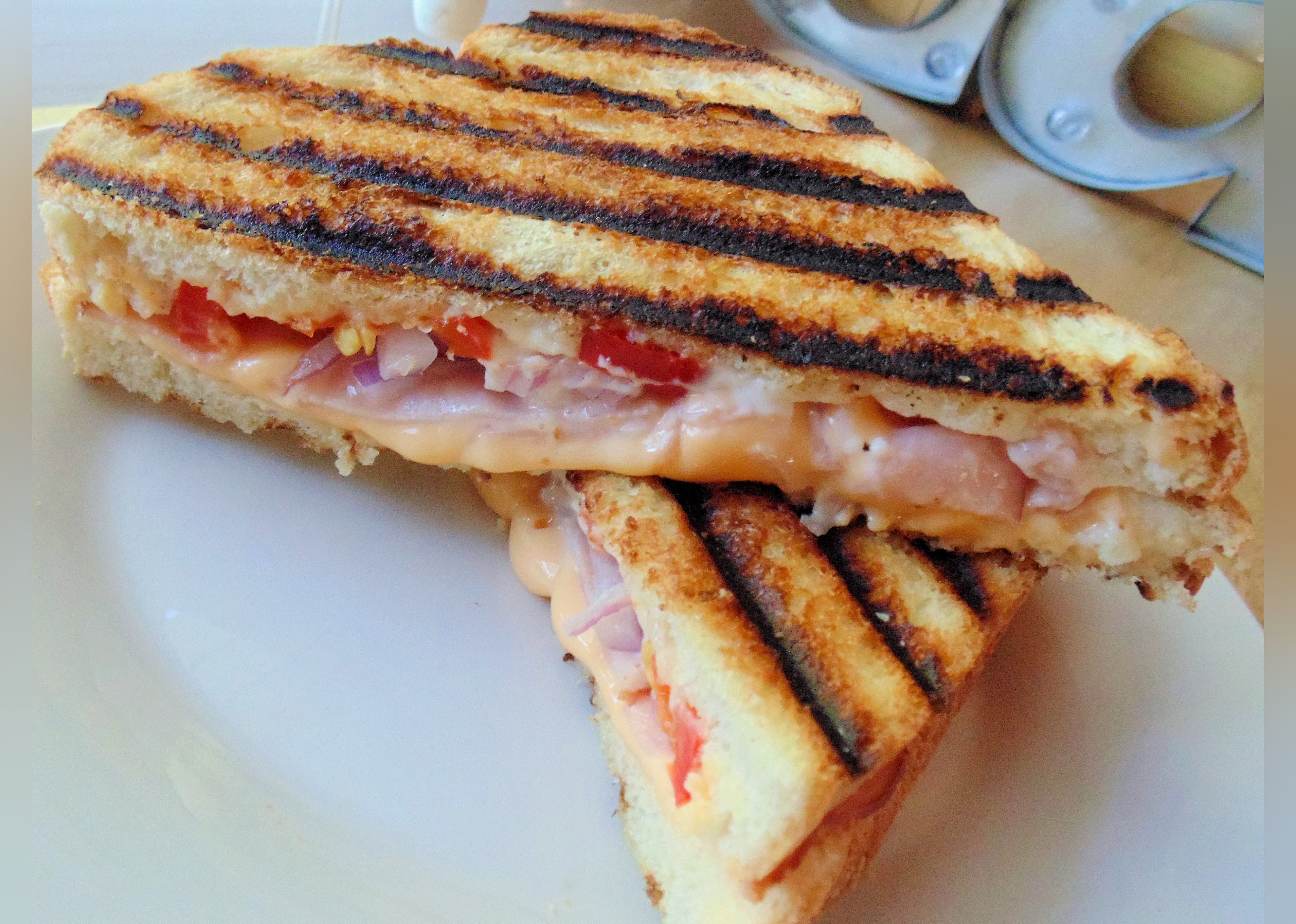 Basic Grilled Panini