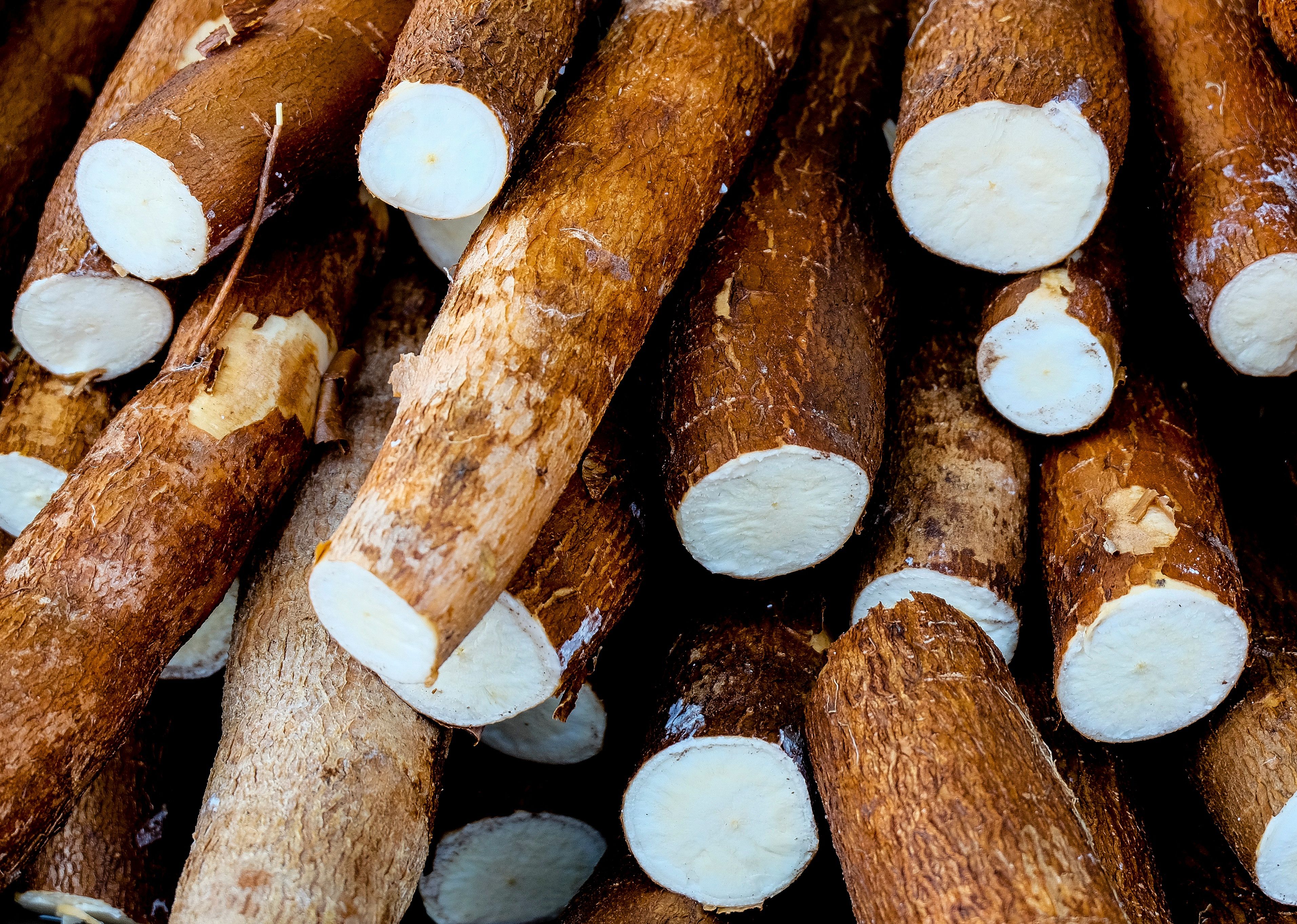 #2. Cassava