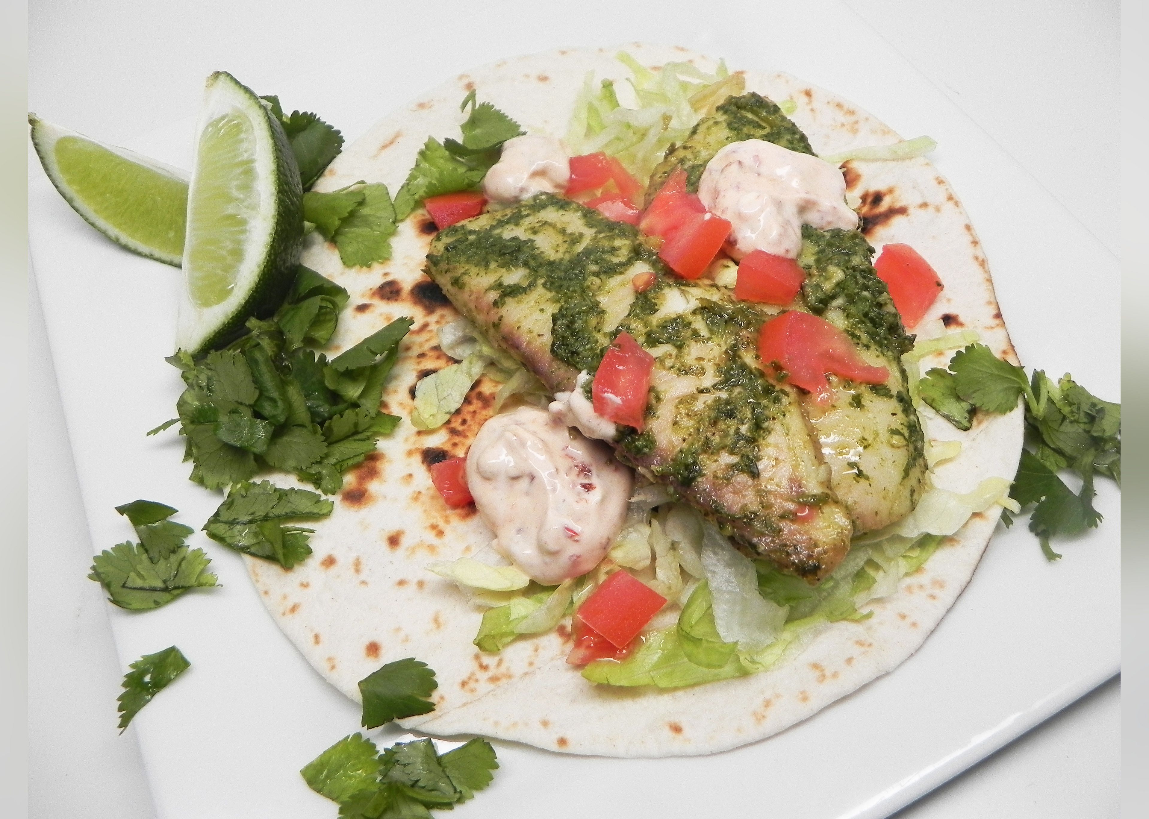 Best Fish Tacos
