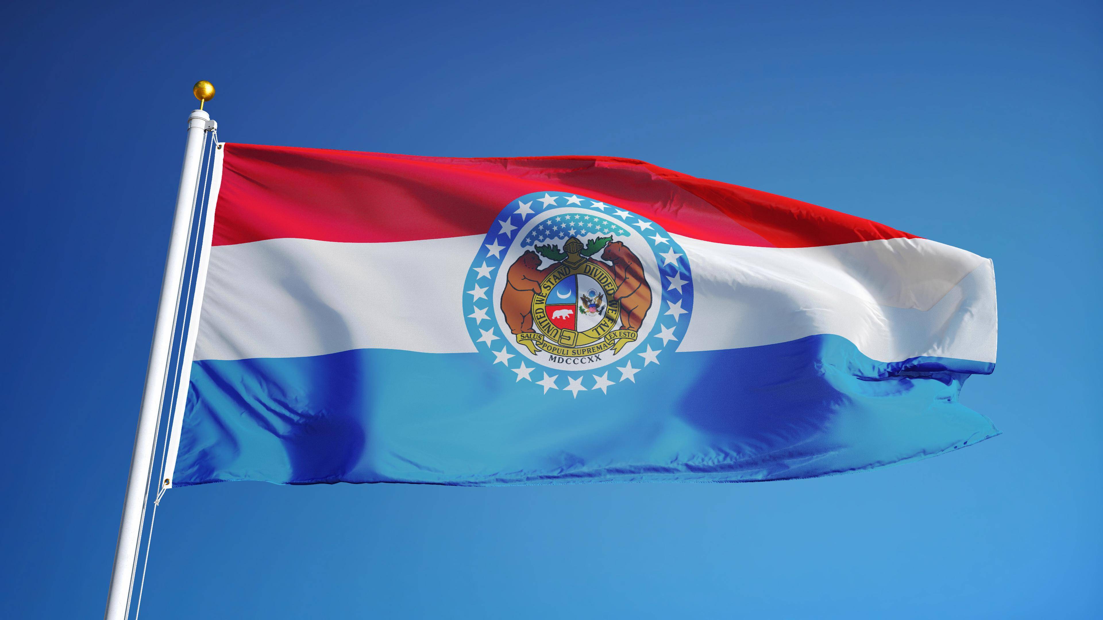 Flag #25