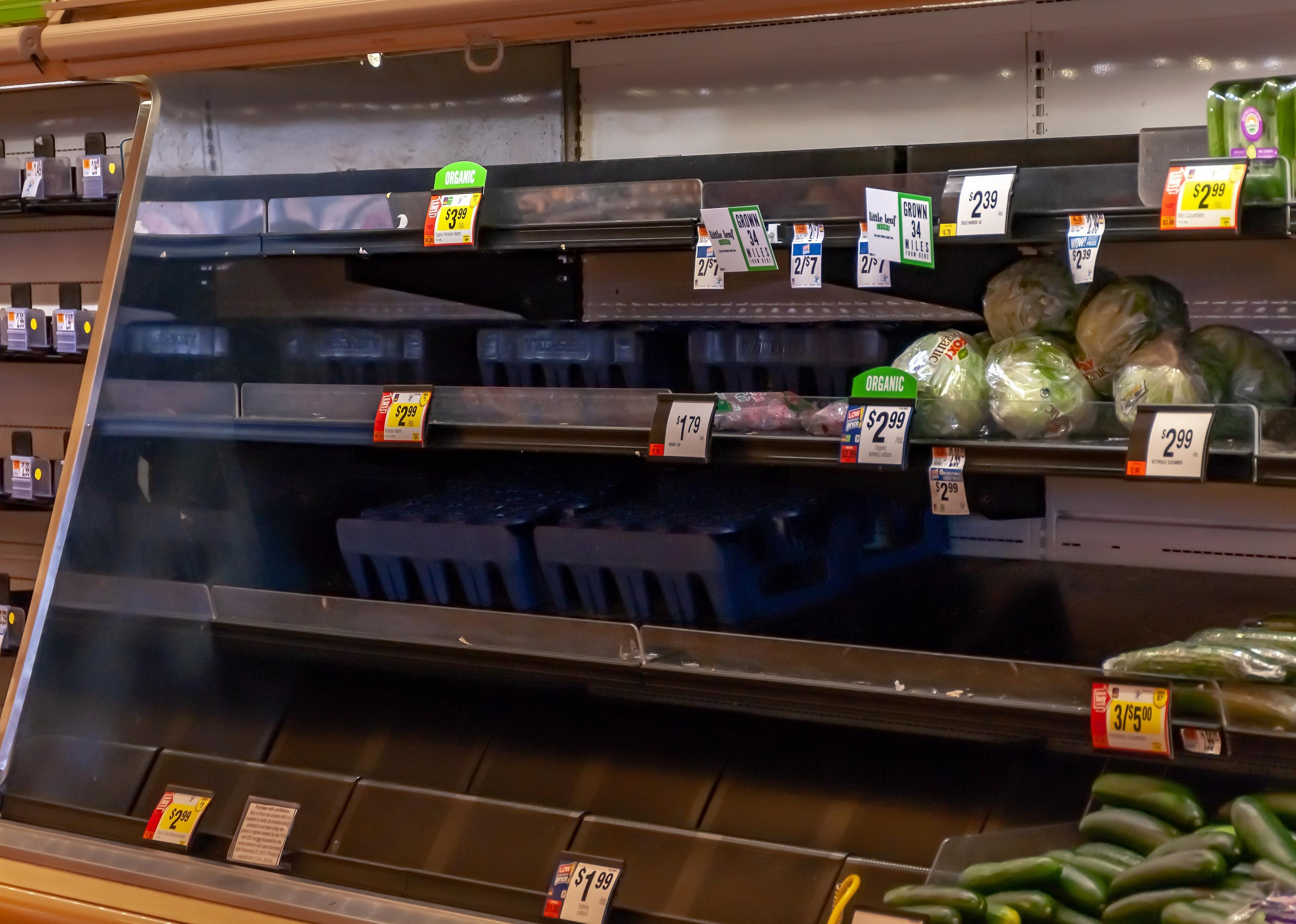 16% worry they’ll run out of healthy food