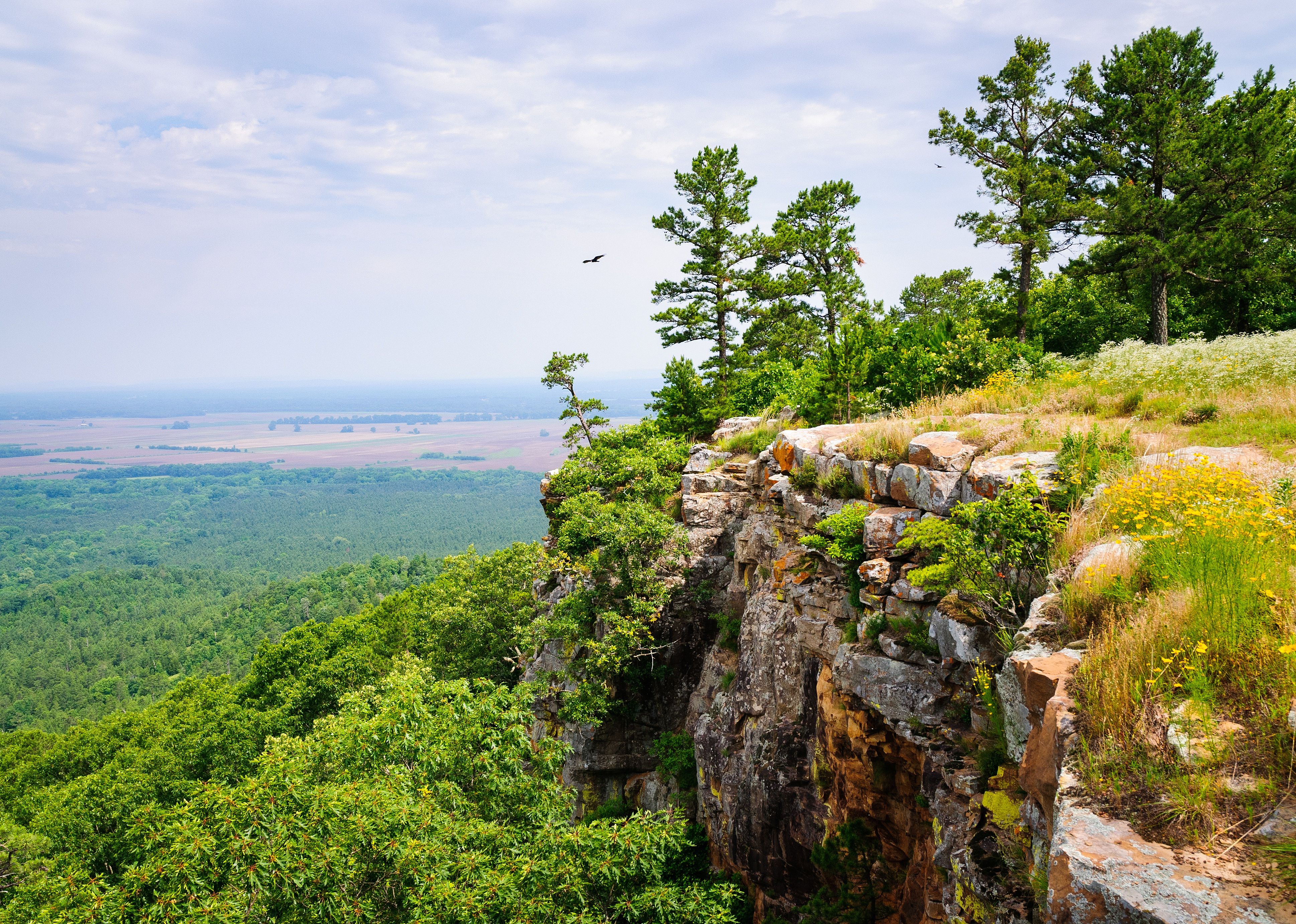 #1. Ozark