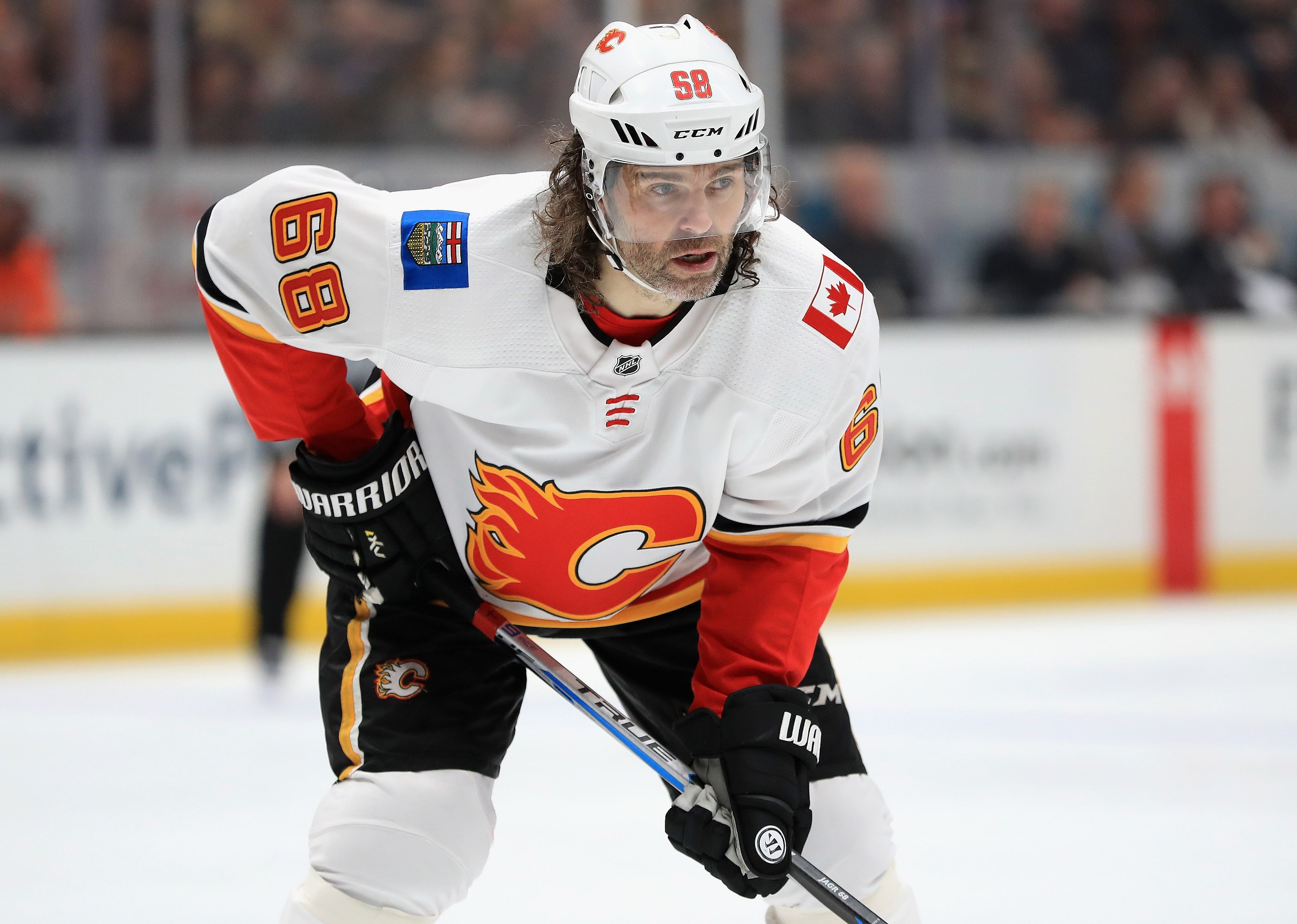 Jaromir Jagr of the Calgary Flames looks on during the second period of a game
