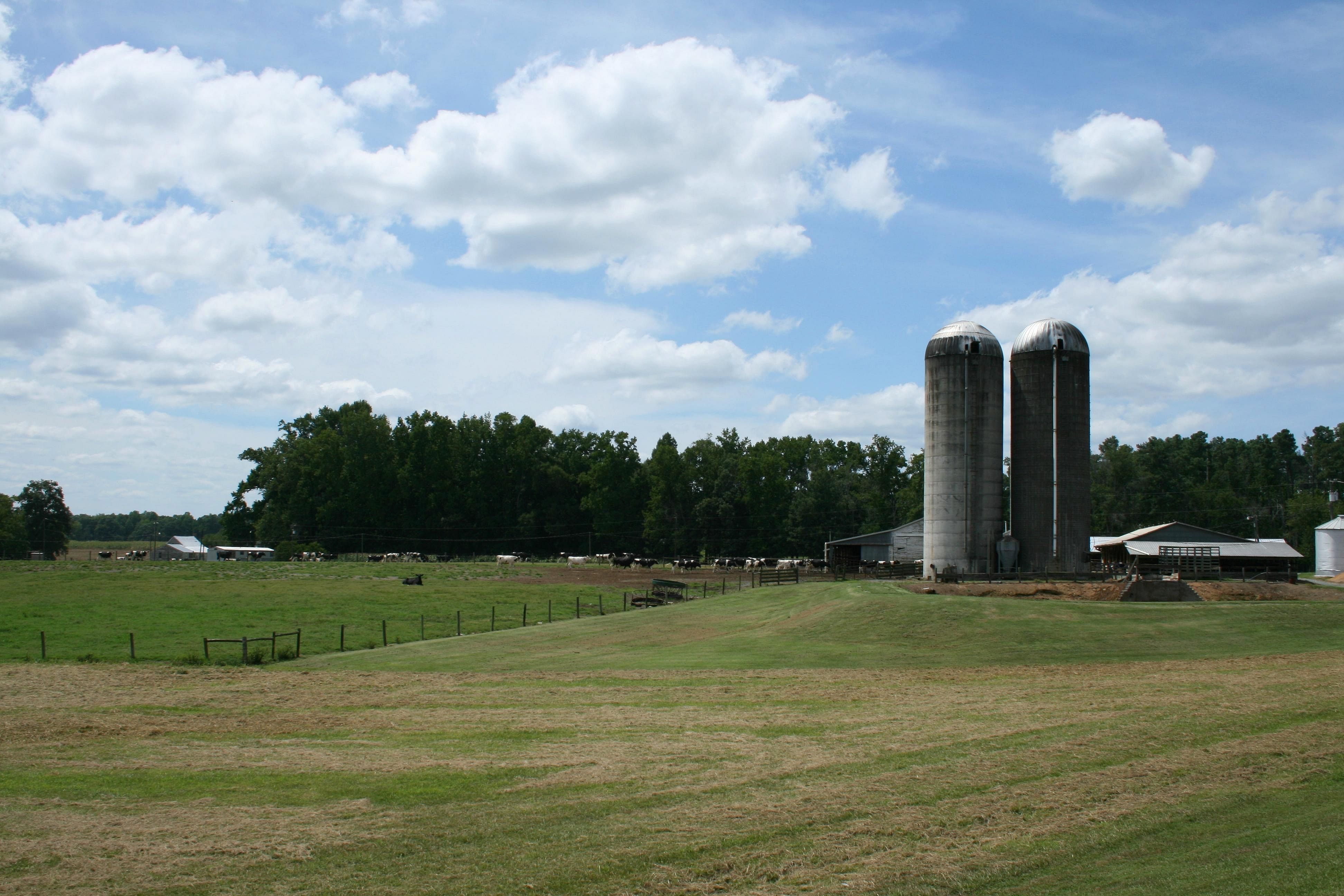 #23. North Carolina