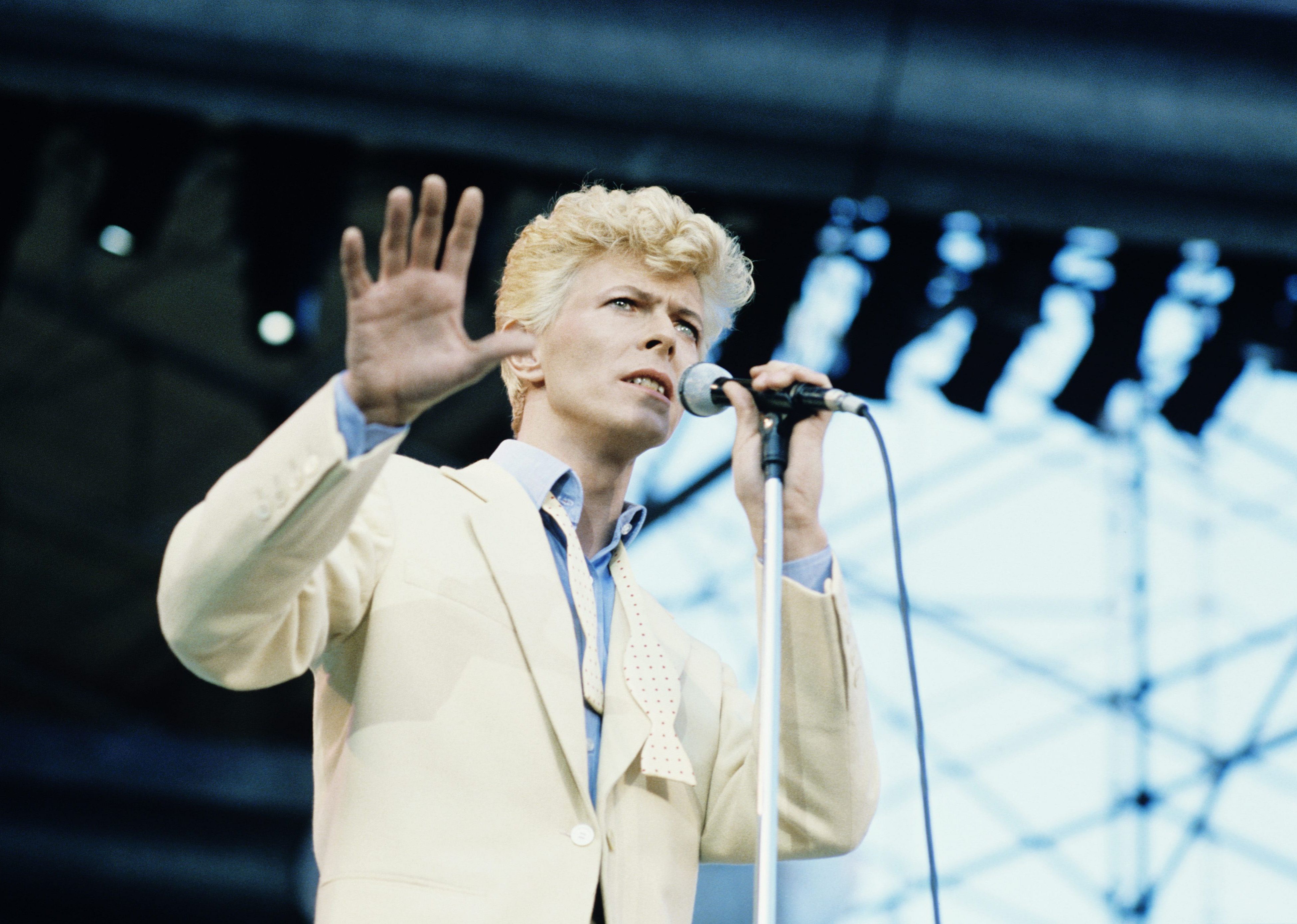 'Teenage Wildlife' by David Bowie