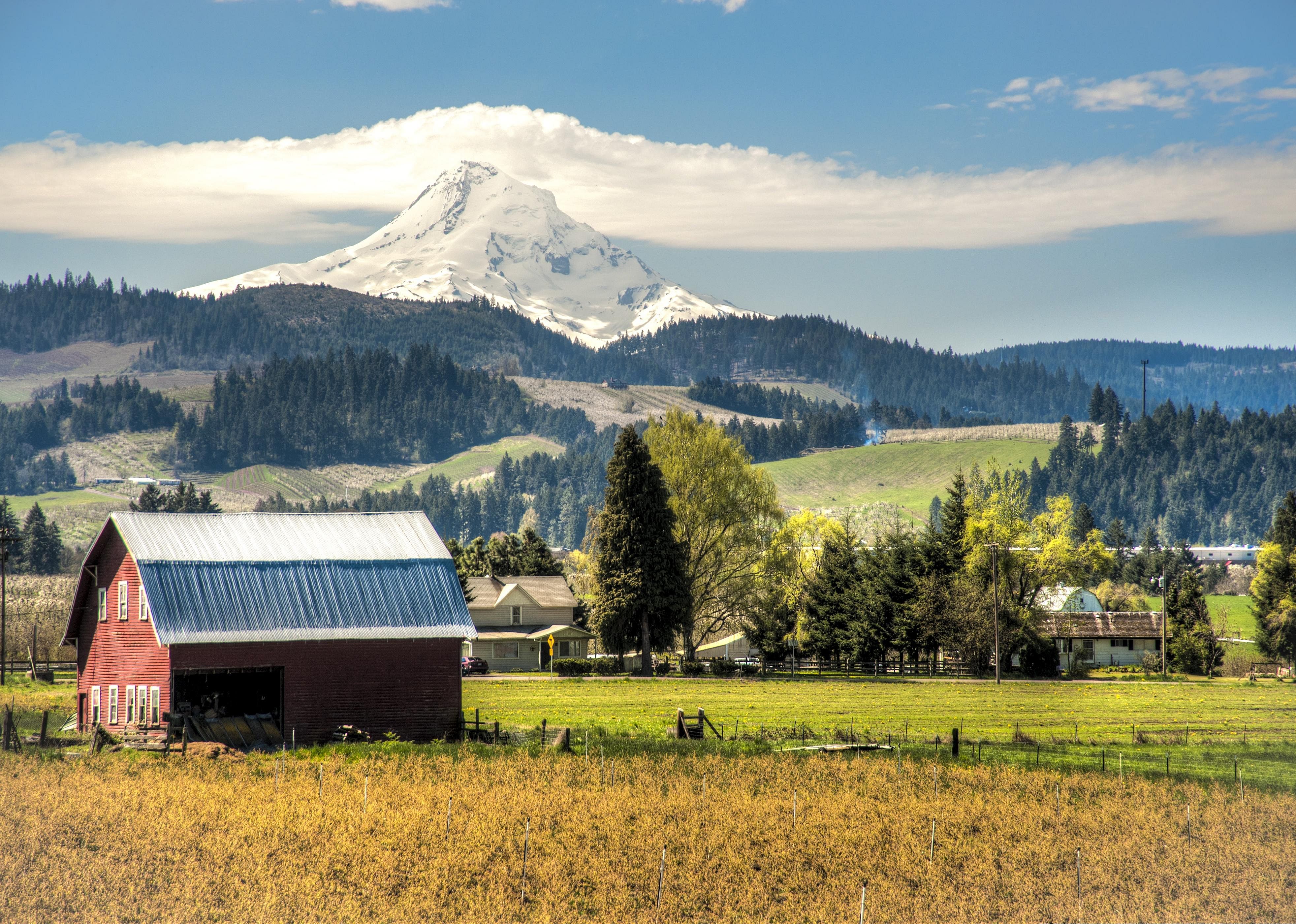 #18. Oregon