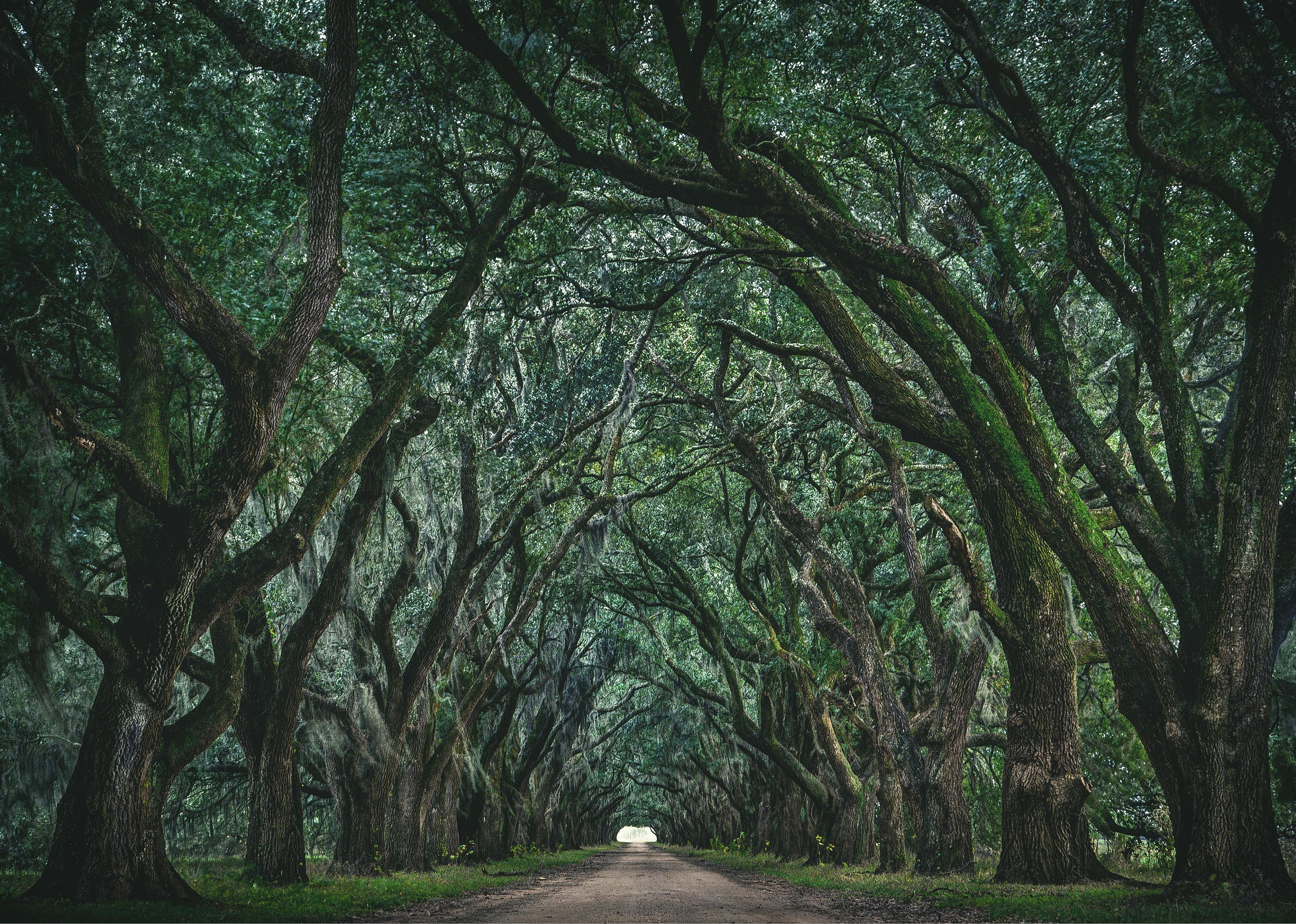 Louisiana