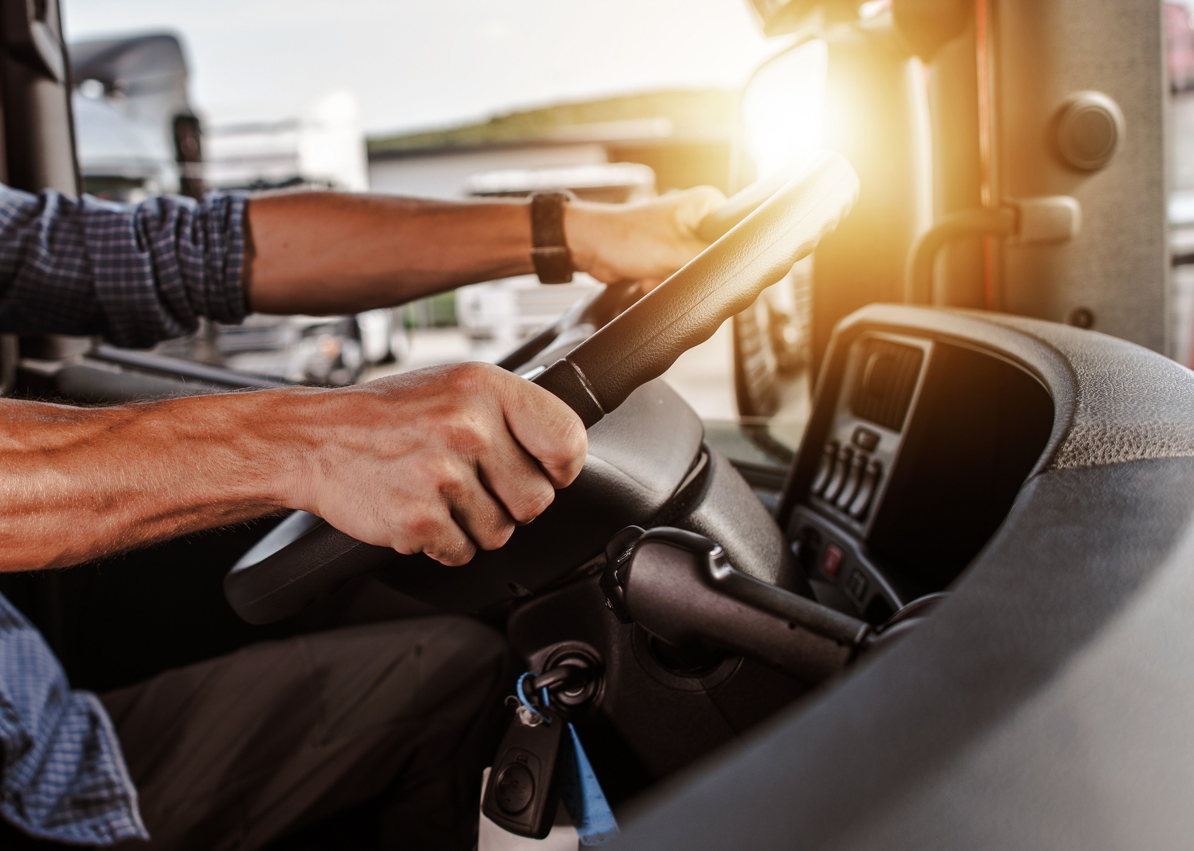 Motor vehicle operator behind a steering wheel