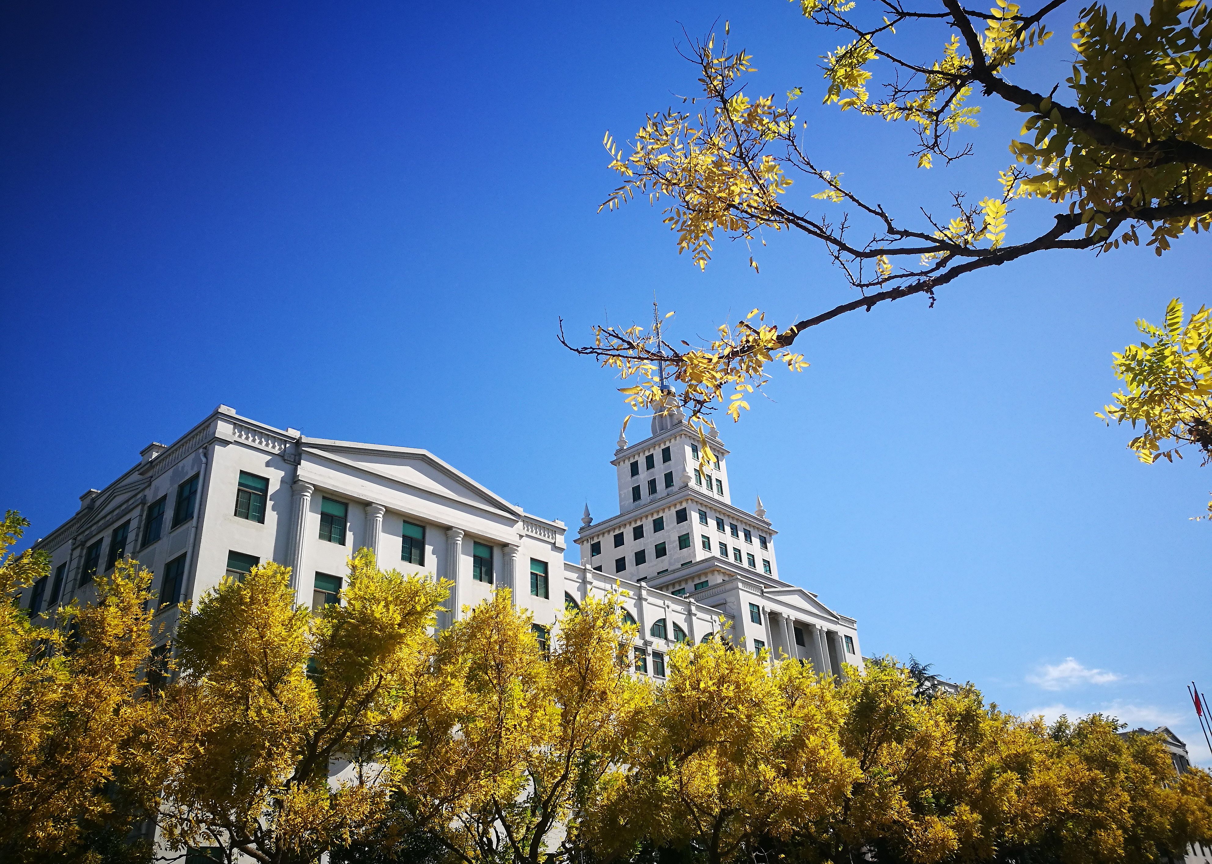 #11. Harbin Institute of Technology