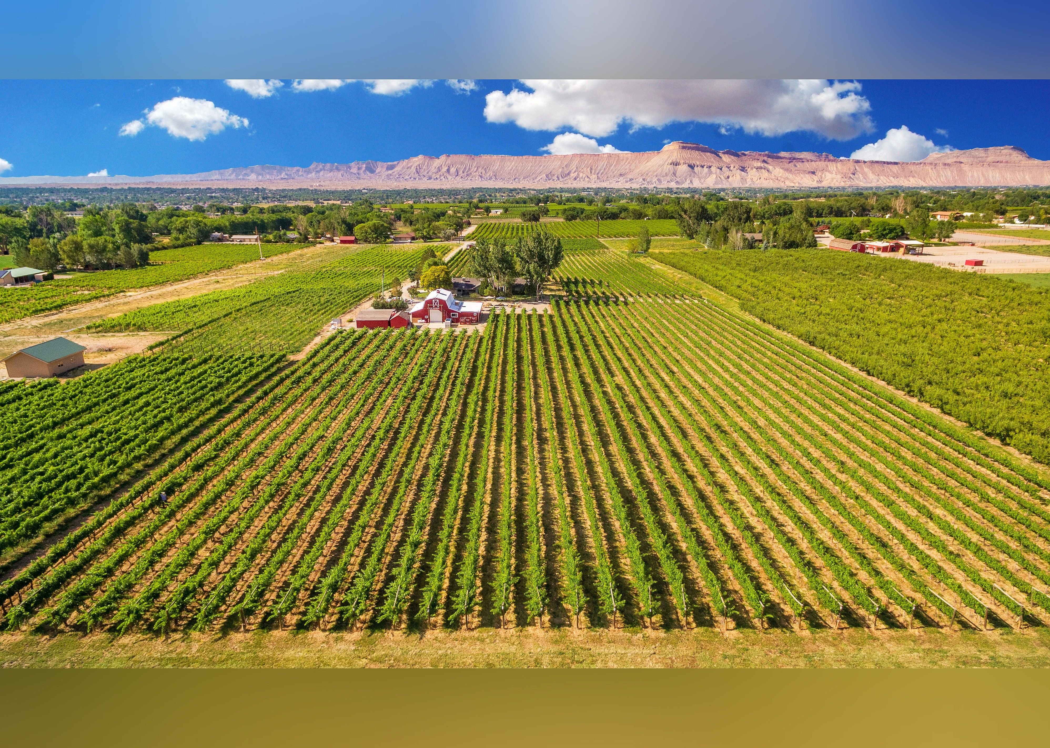 #19. Mesa Park Fruit Co