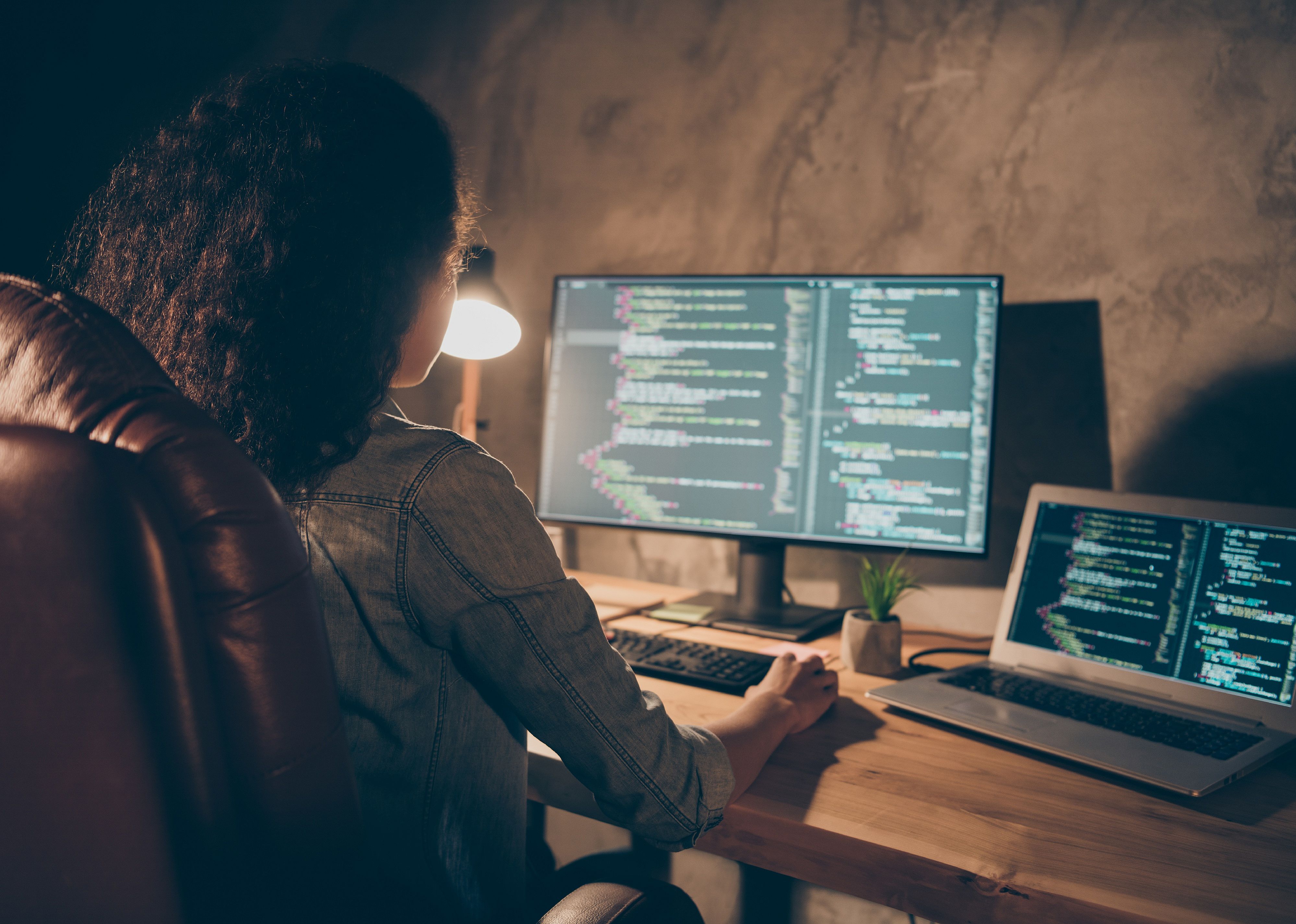 #39. Software developers