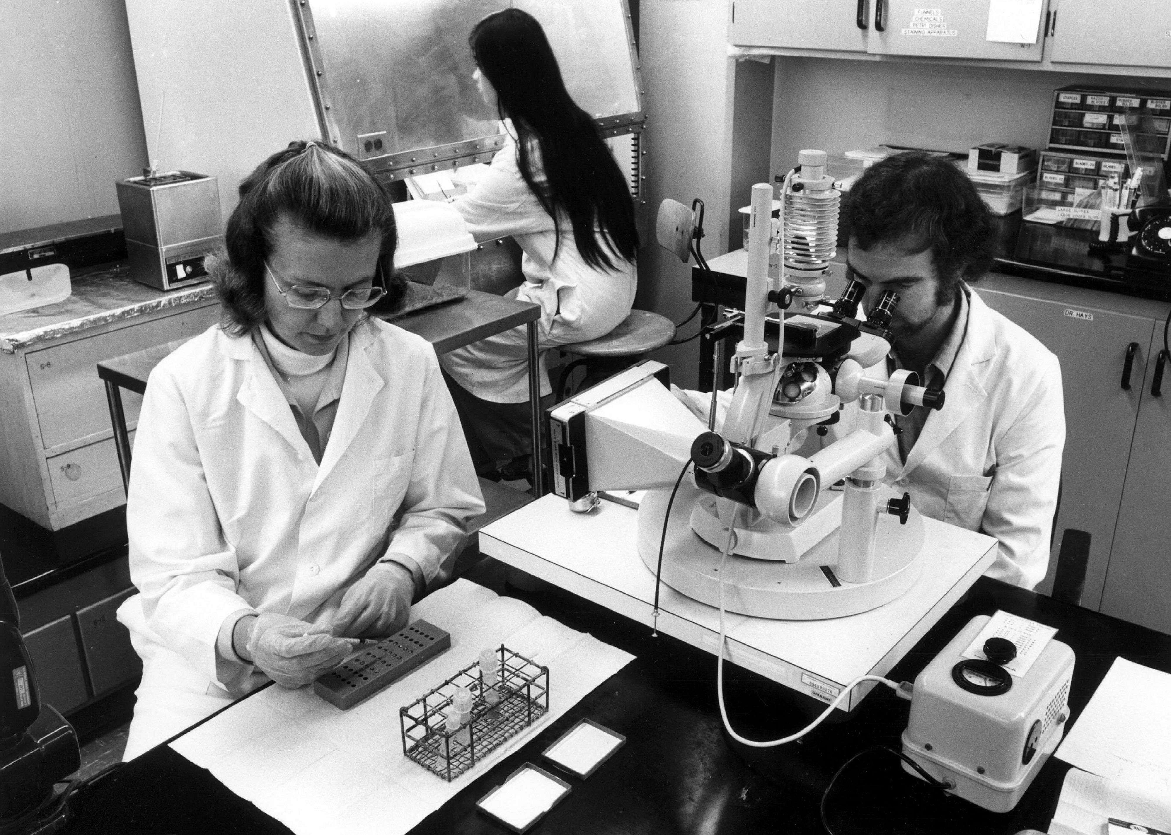 1975: Genetic basis for cancer discovered