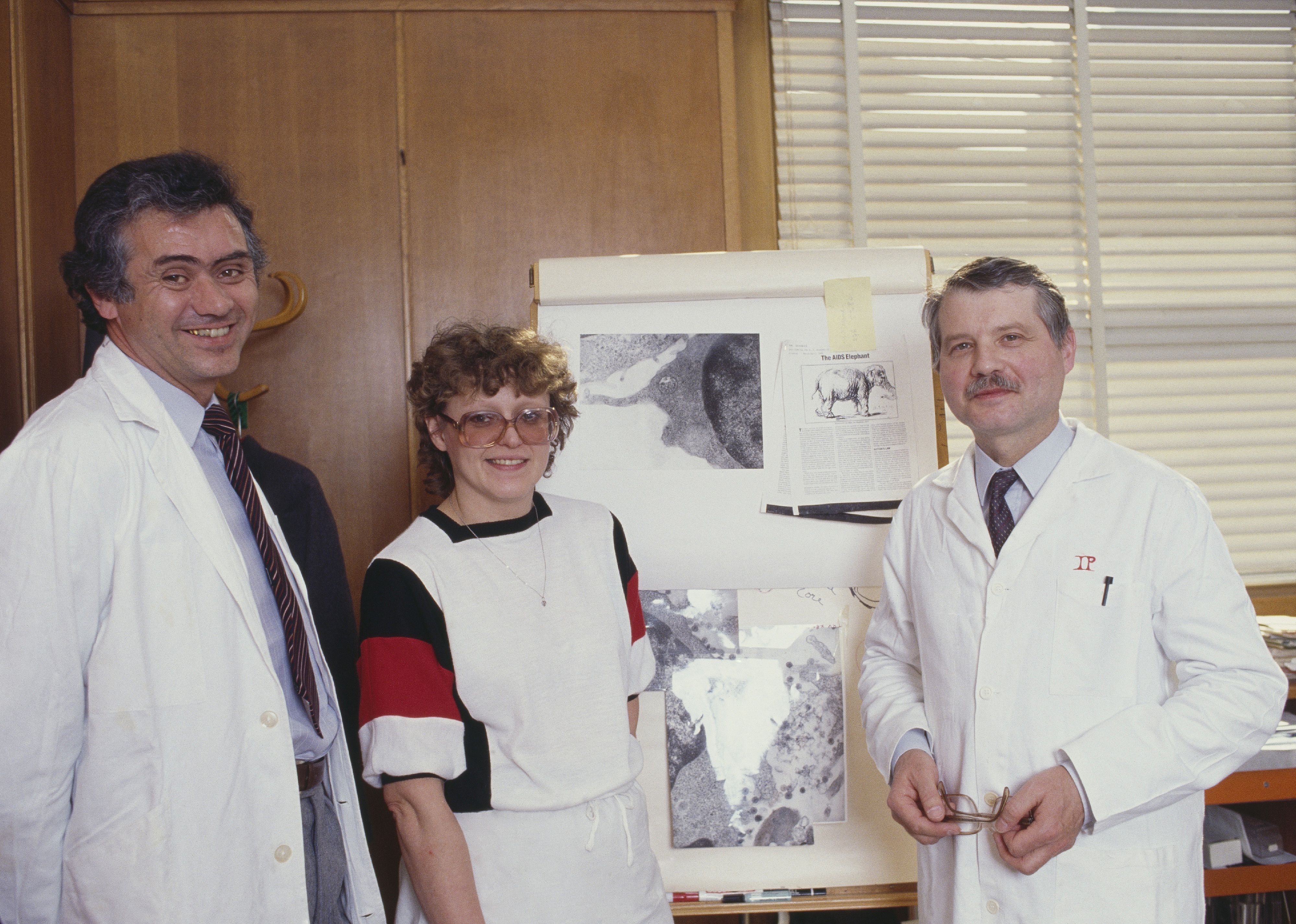 1983: HIV virus identified