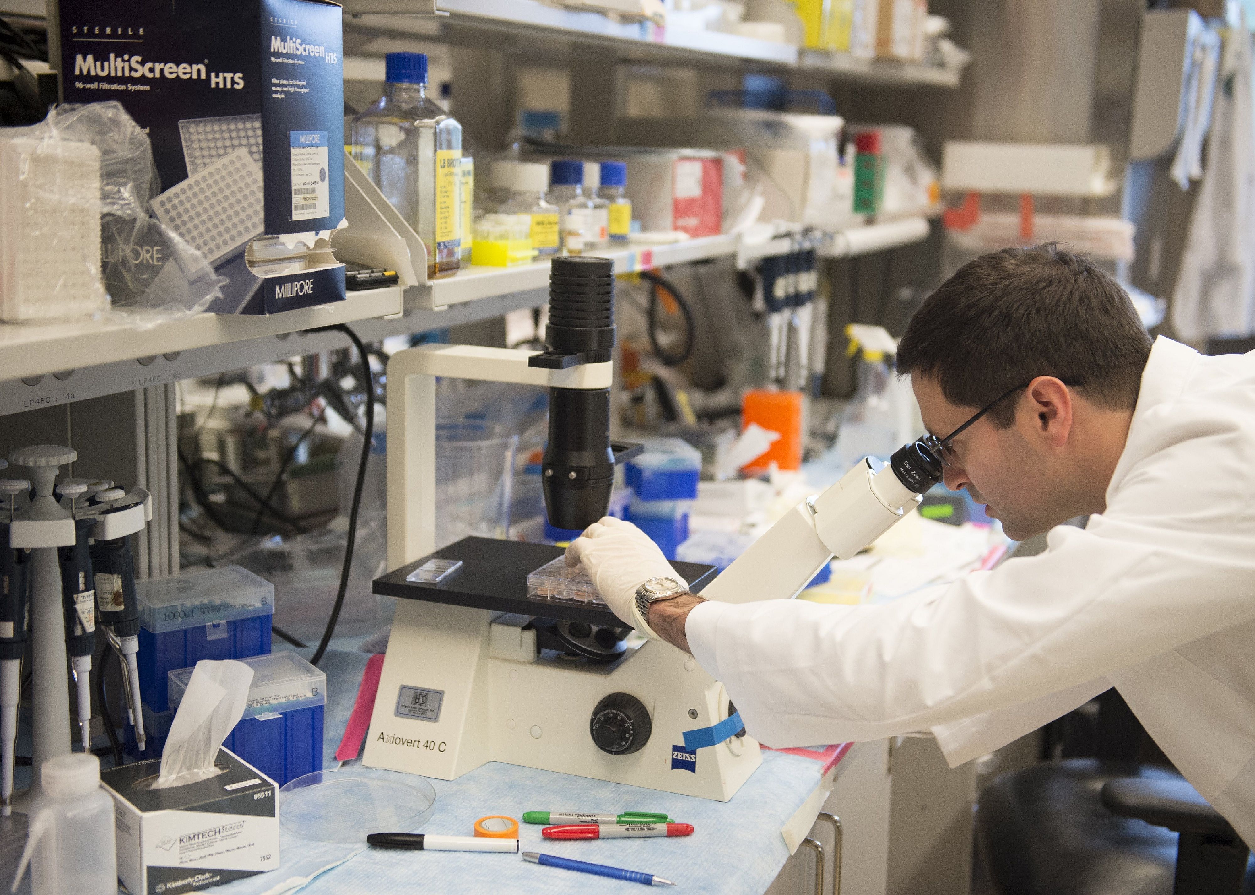 2014: DNA screen for HPV
