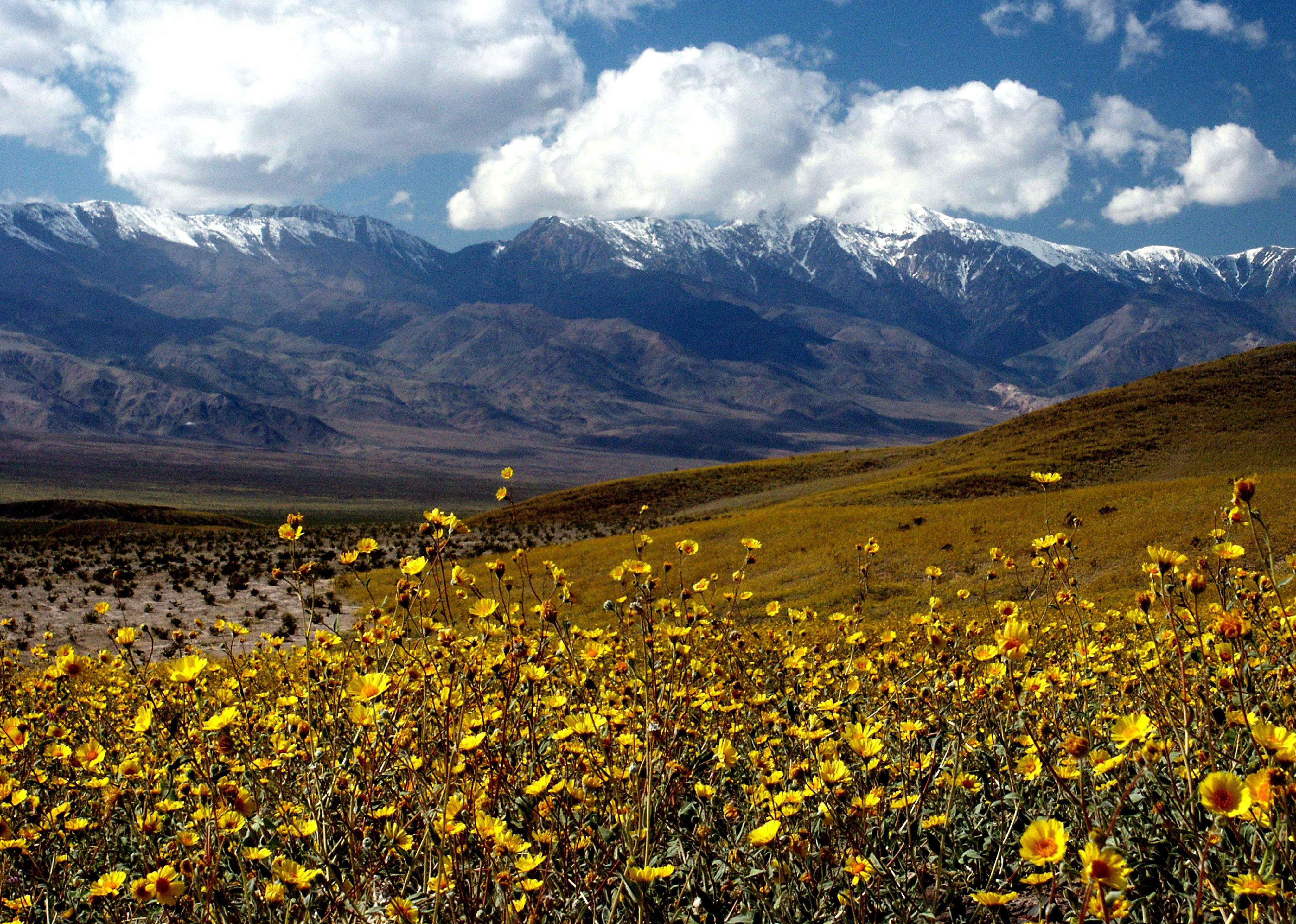#34. Inyo County