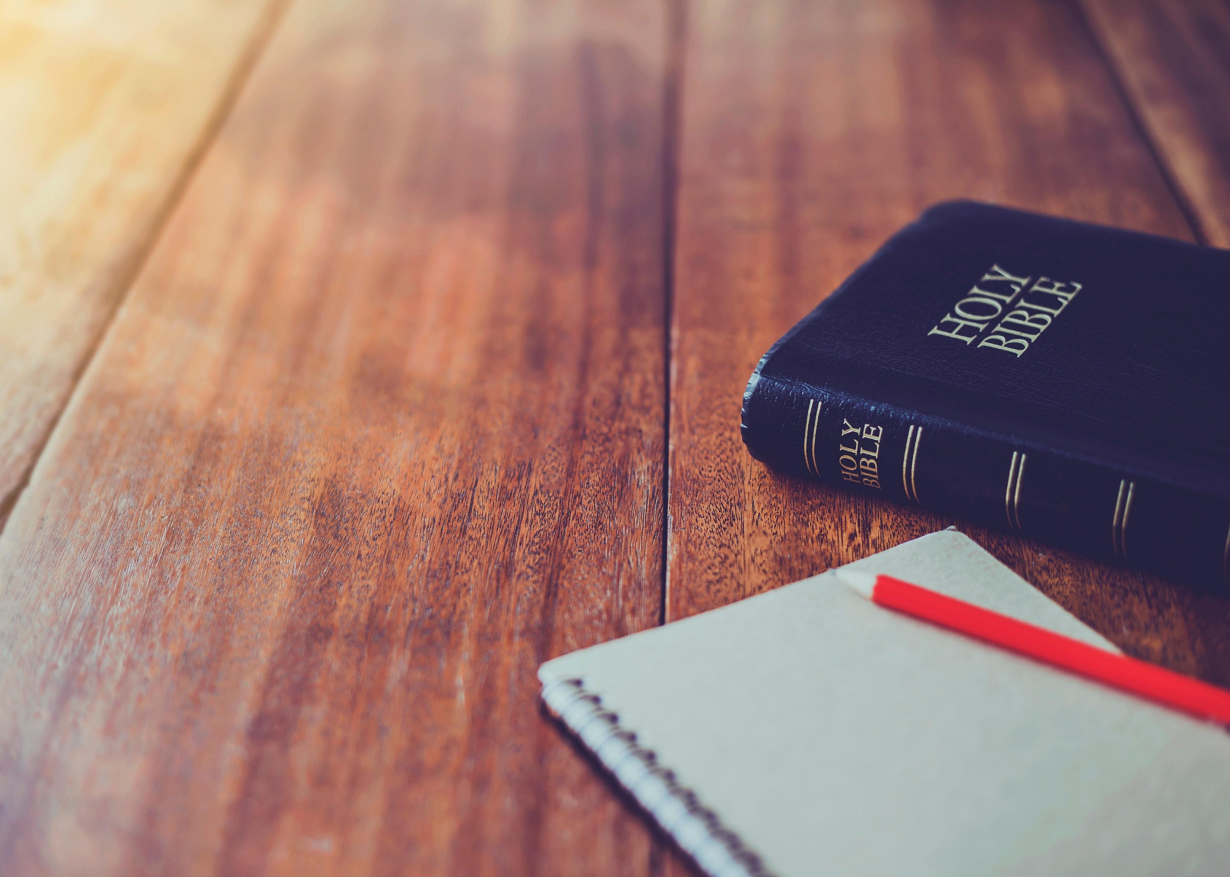 #45. Bible studies and theology (tie)